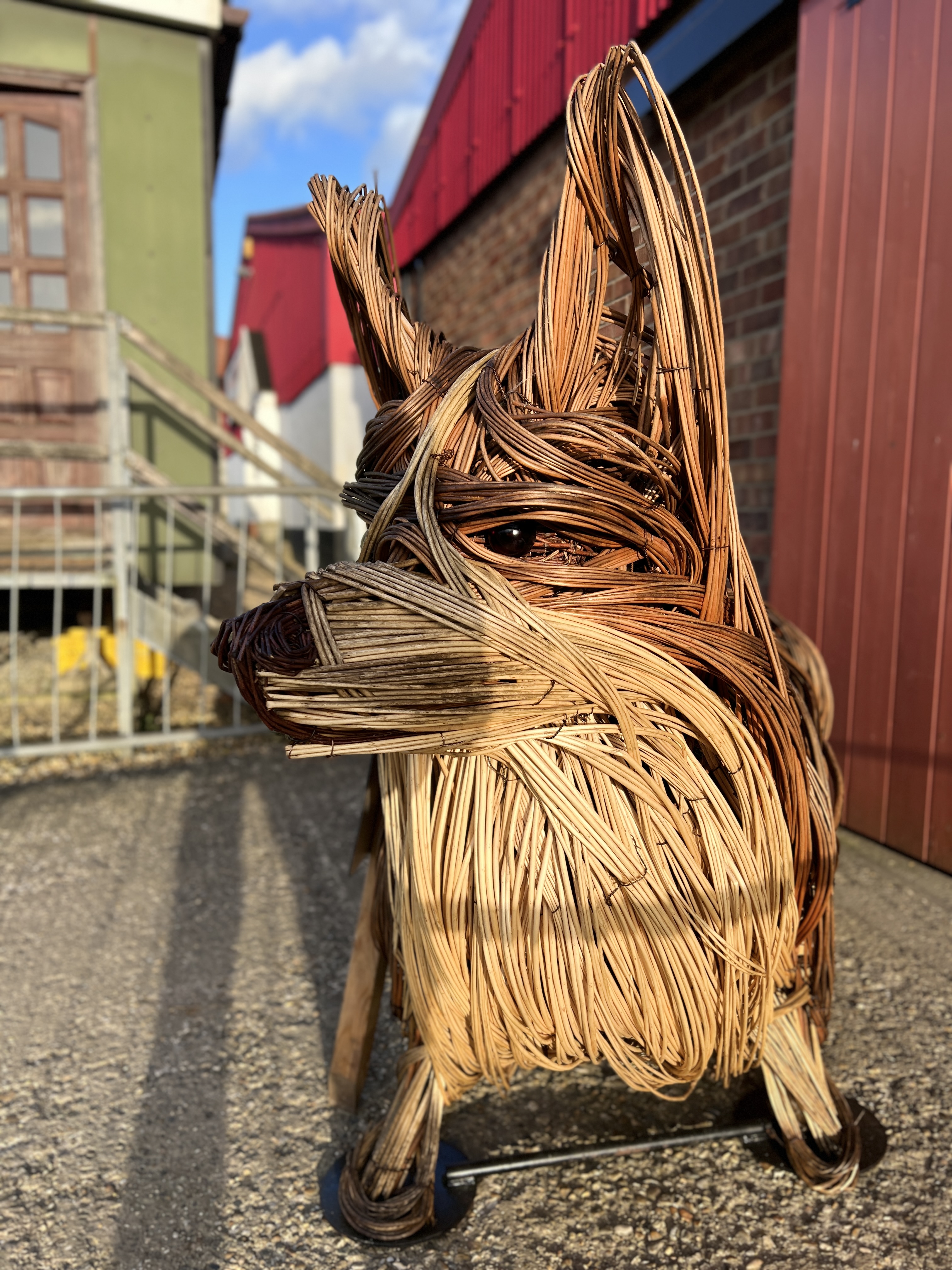 A TIN HOUSE OVERSIZE WILLOW CORGI SCULPTURE BY ALI MACKENZIE "PUMPKIN" No. - Image 8 of 9