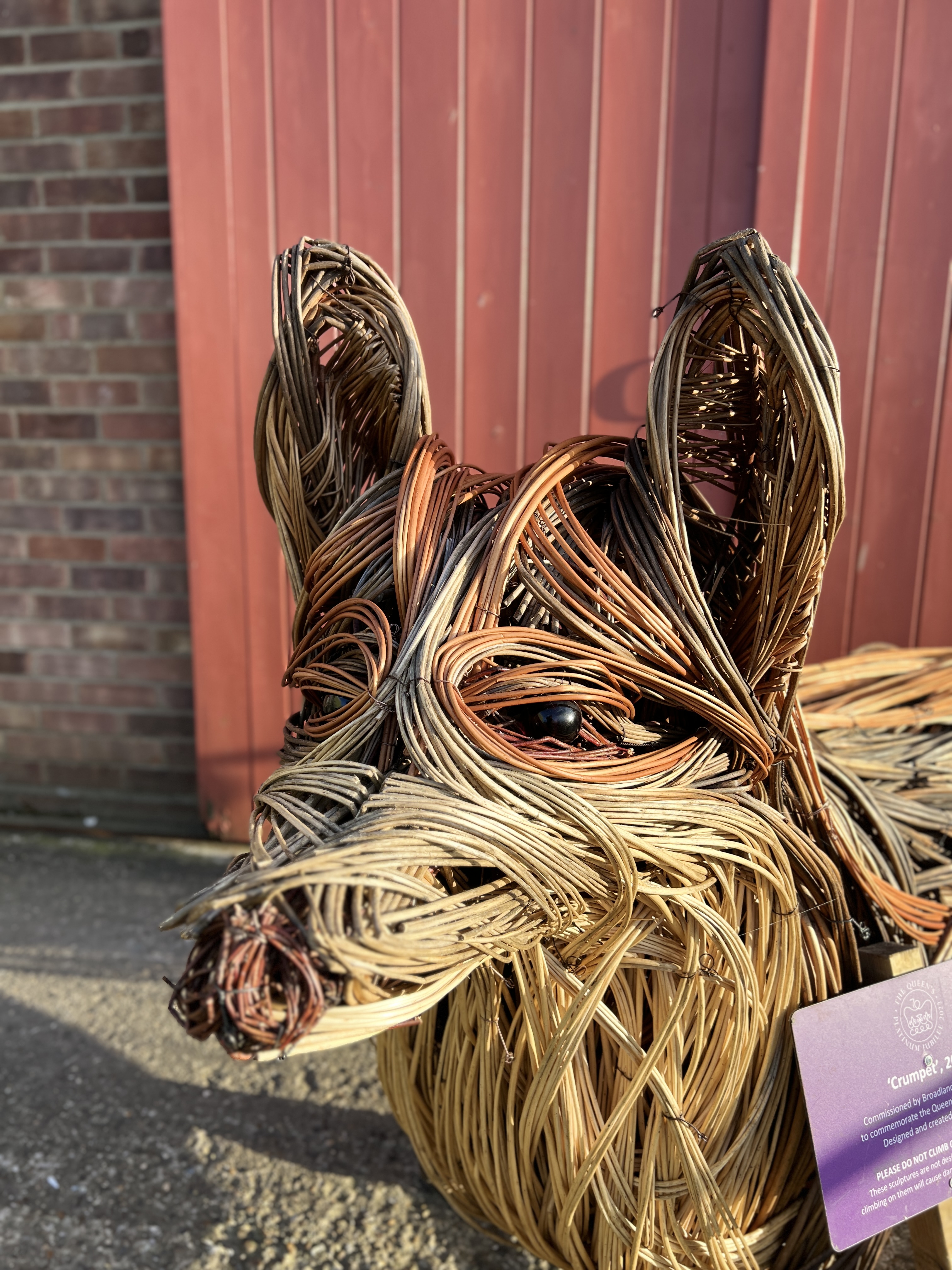 A TIN HOUSE OVERSIZE WILLOW CORGI SCULPTURE BY ALI MACKENZIE "CRUMPET" No. - Bild 4 aus 12