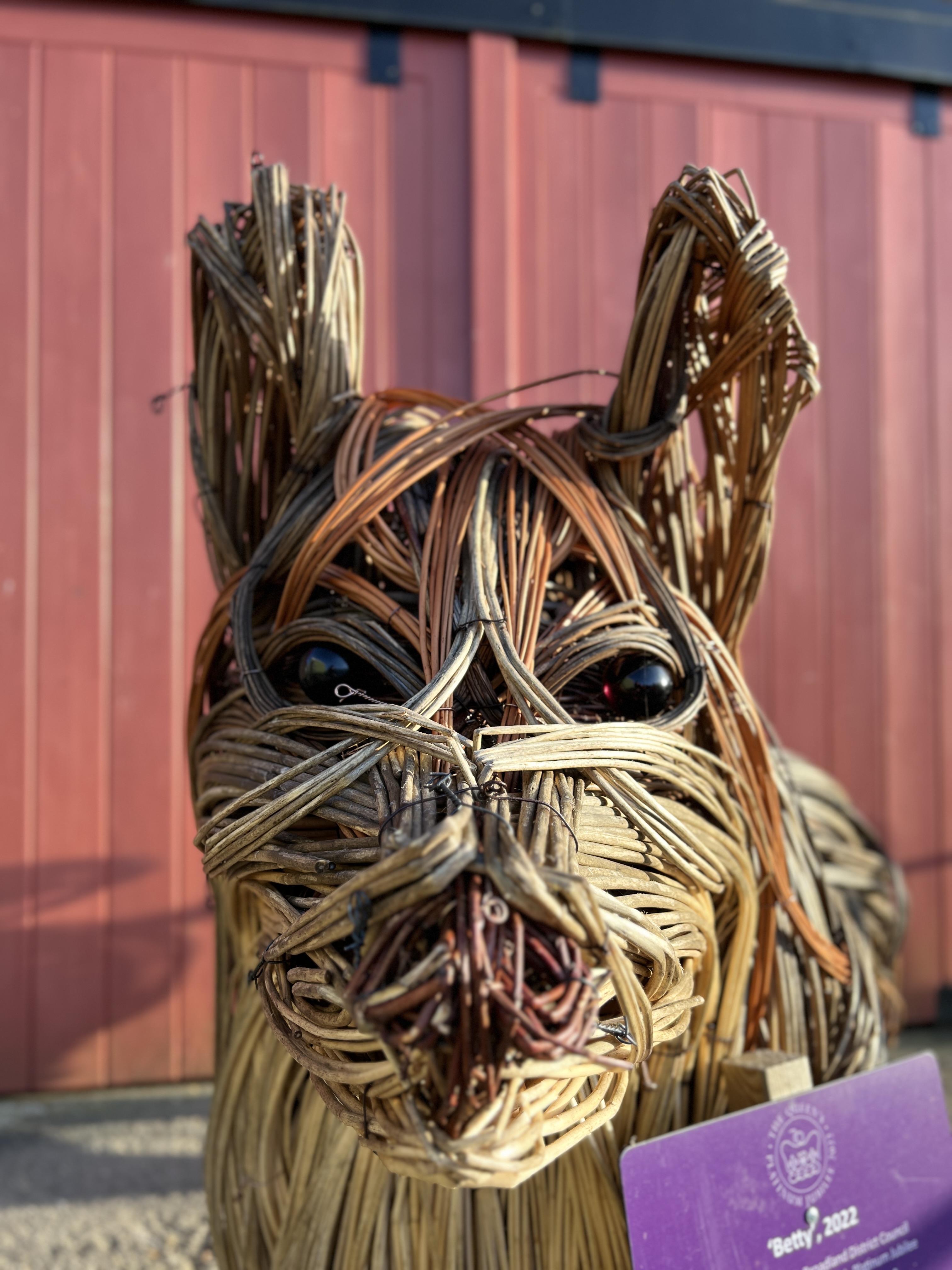 A TIN HOUSE OVERSIZE WILLOW CORGI SCULPTURE BY ALI MACKENZIE "BETTY" No. - Image 10 of 11