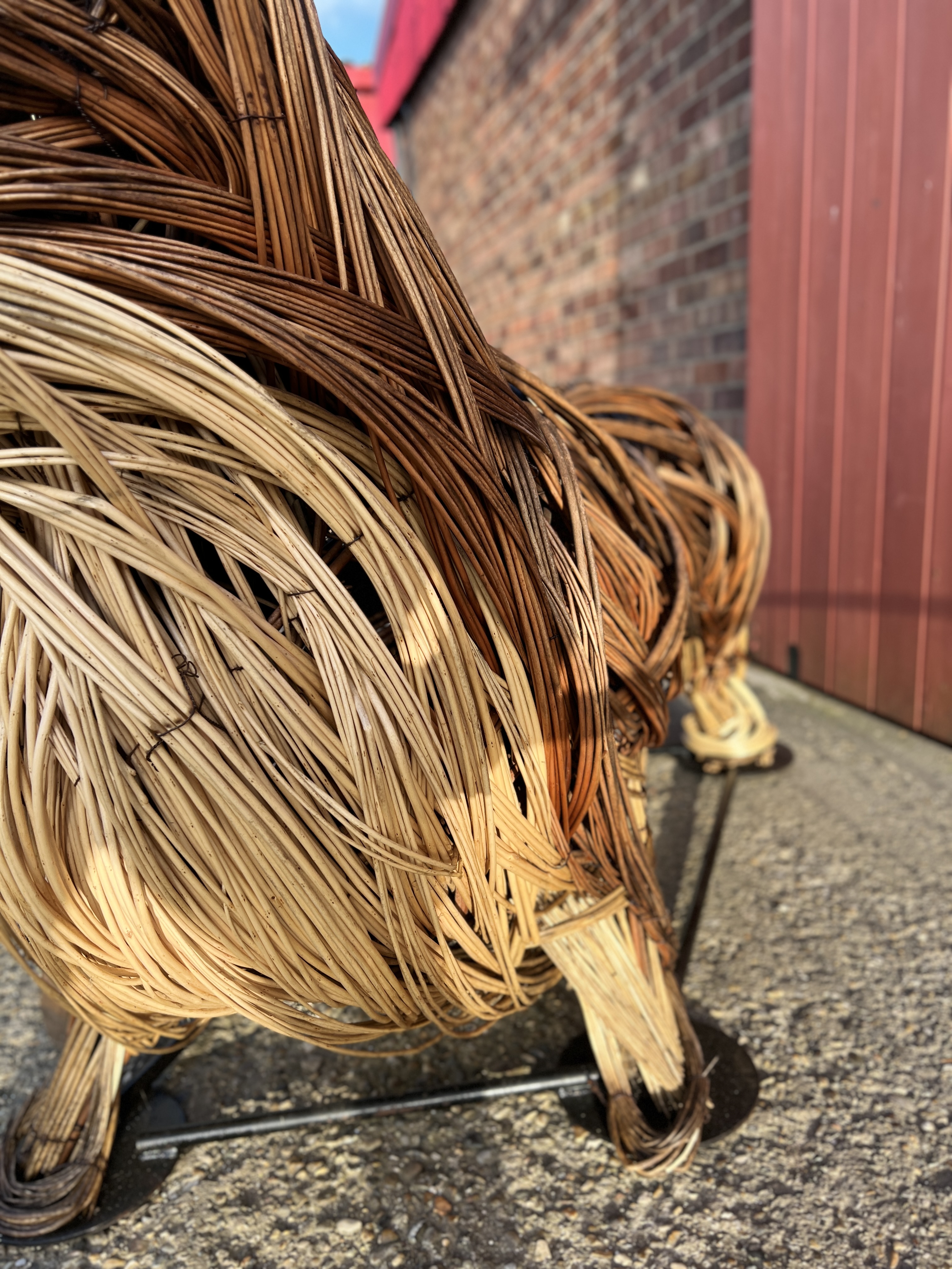 A TIN HOUSE OVERSIZE WILLOW CORGI SCULPTURE BY ALI MACKENZIE "PUMPKIN" No. - Image 7 of 9