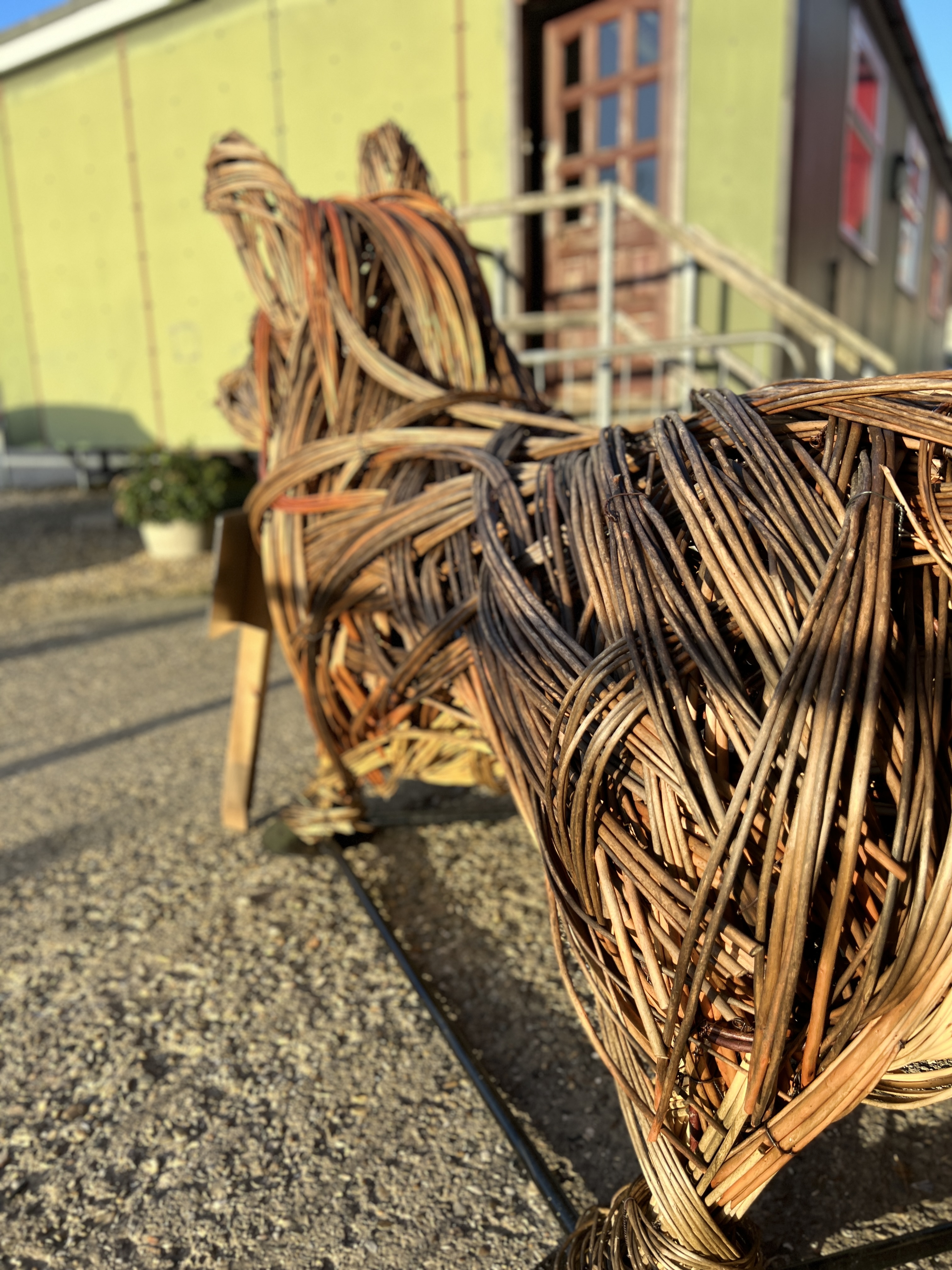 A TIN HOUSE OVERSIZE WILLOW CORGI SCULPTURE BY ALI MACKENZIE "BETTY" No. - Image 9 of 11