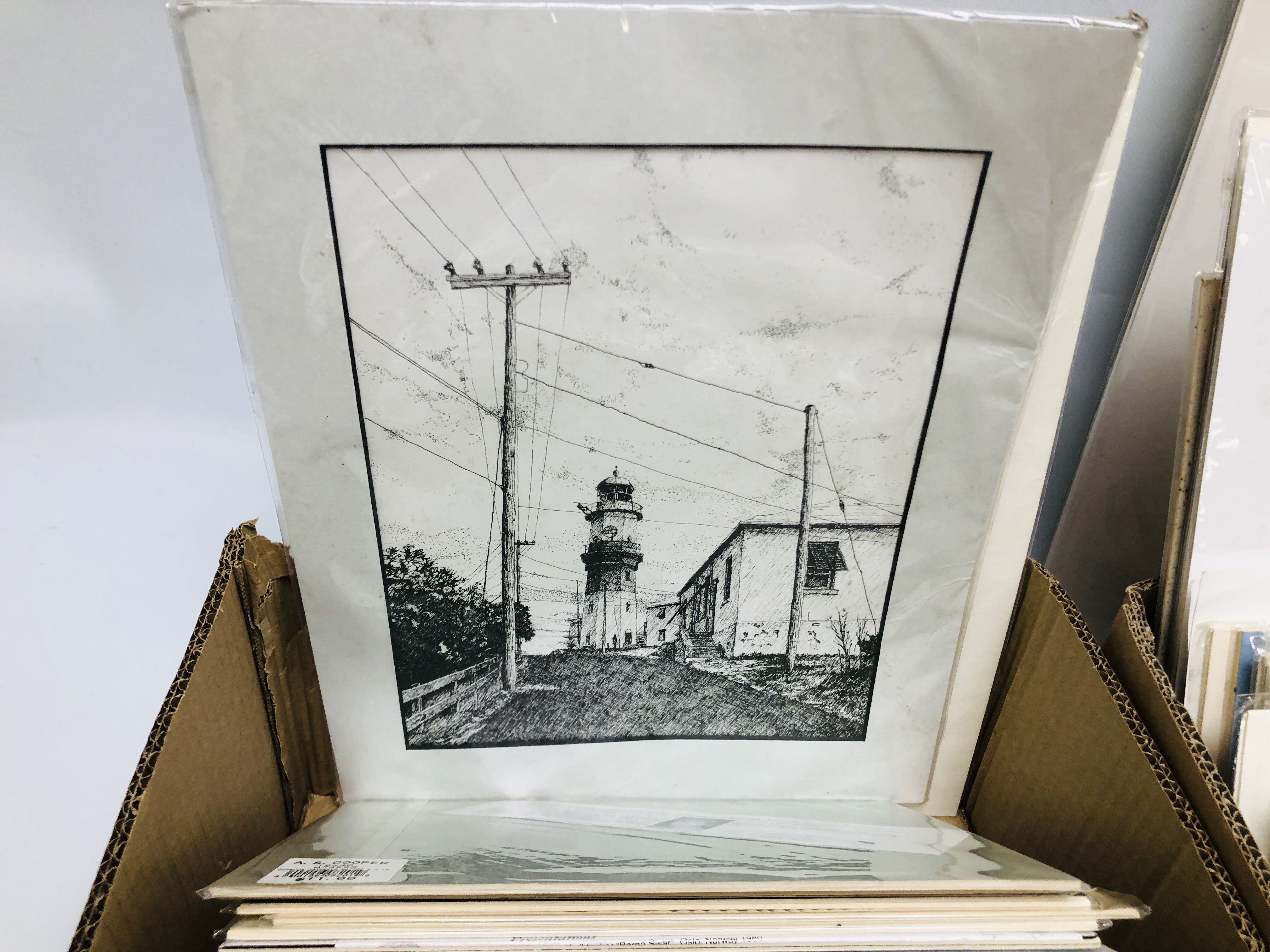 TWO BOXES OF MOUNTED PRINTS DEPICTING MAINLY SCENES OF BERMUDA BEARING PENCIL SIGNATURE DIANA - Image 8 of 11