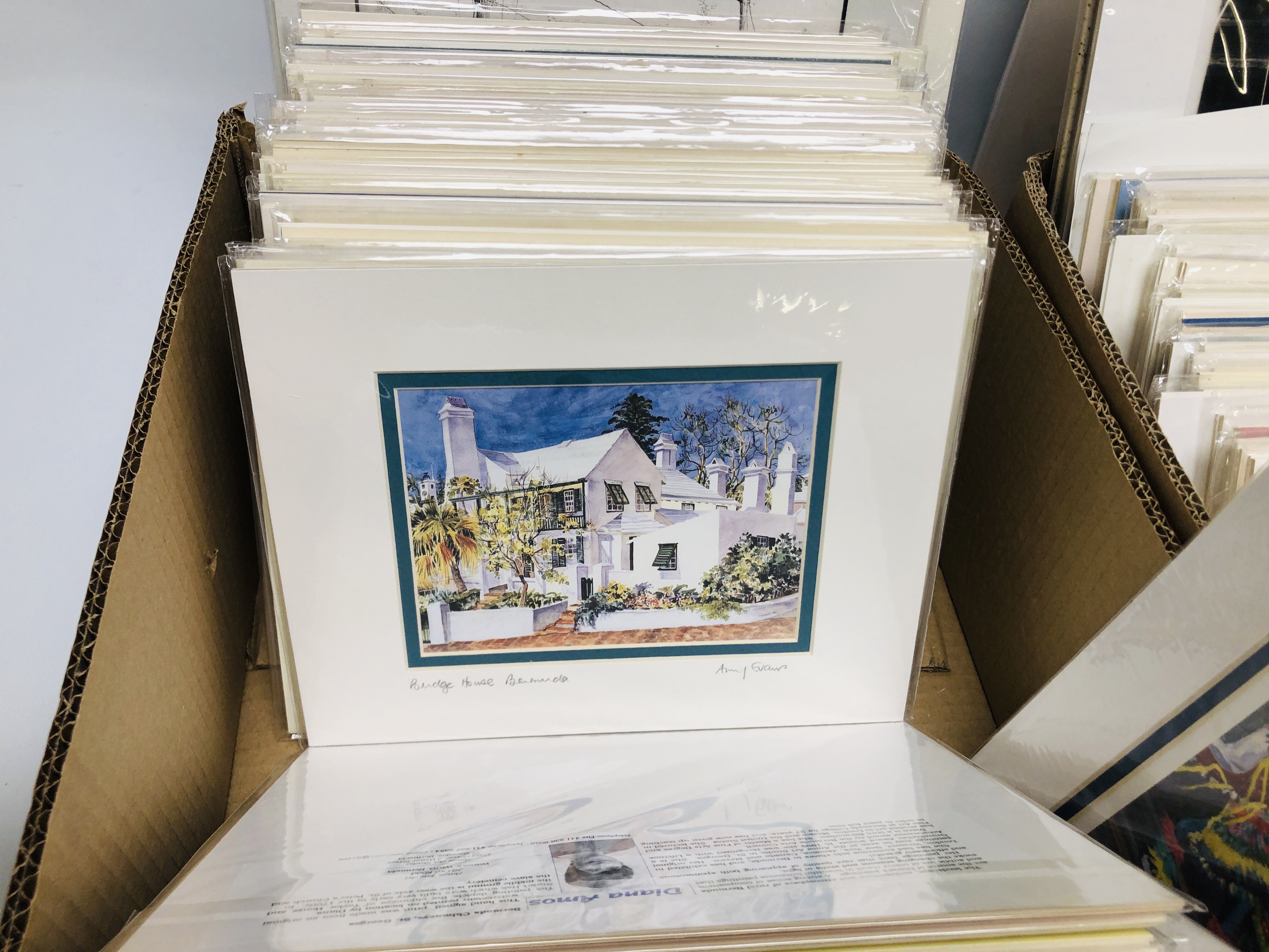 TWO BOXES OF MOUNTED PRINTS DEPICTING MAINLY SCENES OF BERMUDA BEARING PENCIL SIGNATURE DIANA - Image 6 of 11