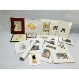 BOX OF ASSORTED MOUNTED CAT PRINTS LIMITED EDITION EXAMPLES BEARING PENCIL SIGNATURE KAY McDONAGH,