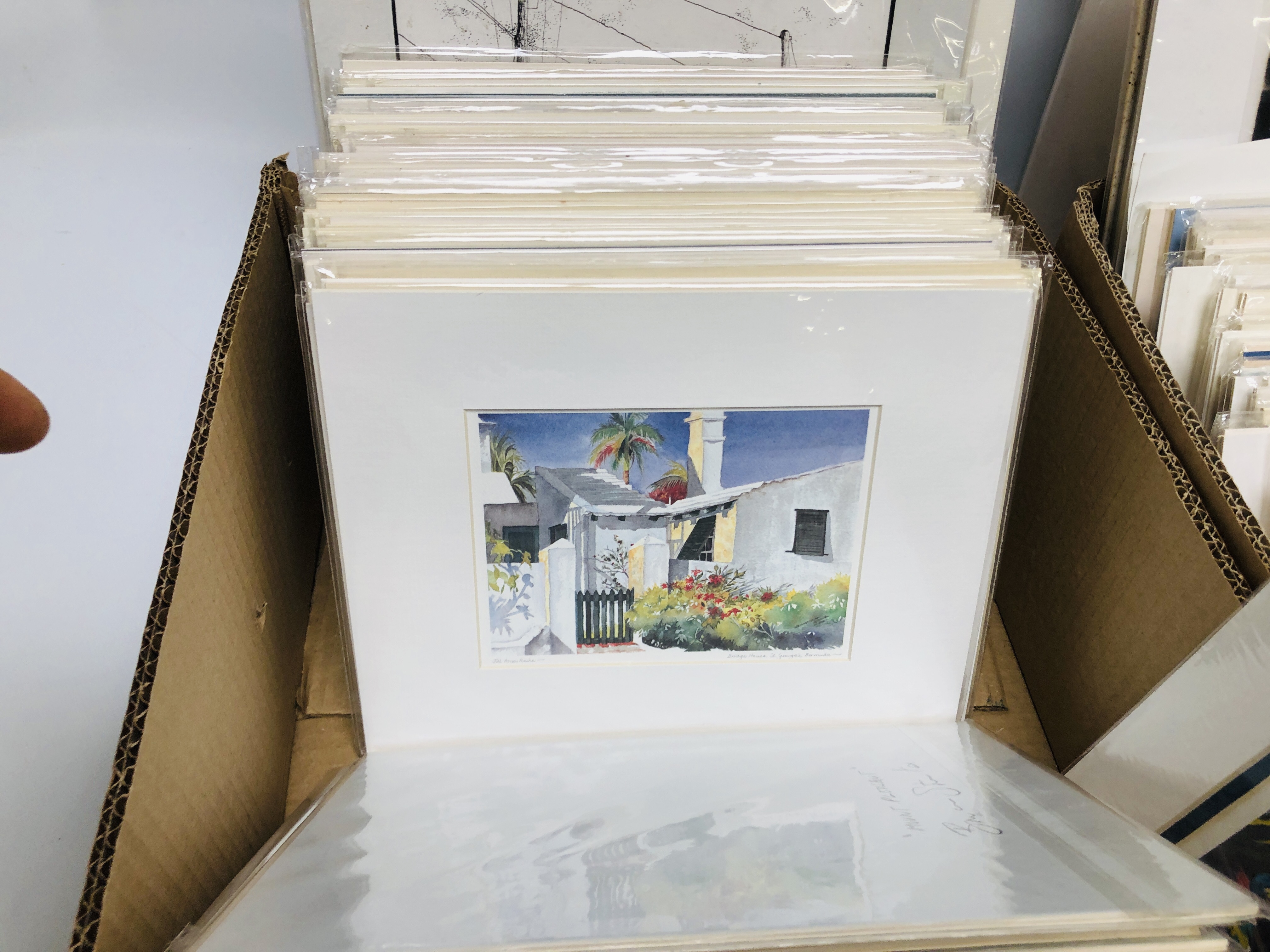 TWO BOXES OF MOUNTED PRINTS DEPICTING MAINLY SCENES OF BERMUDA BEARING PENCIL SIGNATURE DIANA - Image 7 of 11