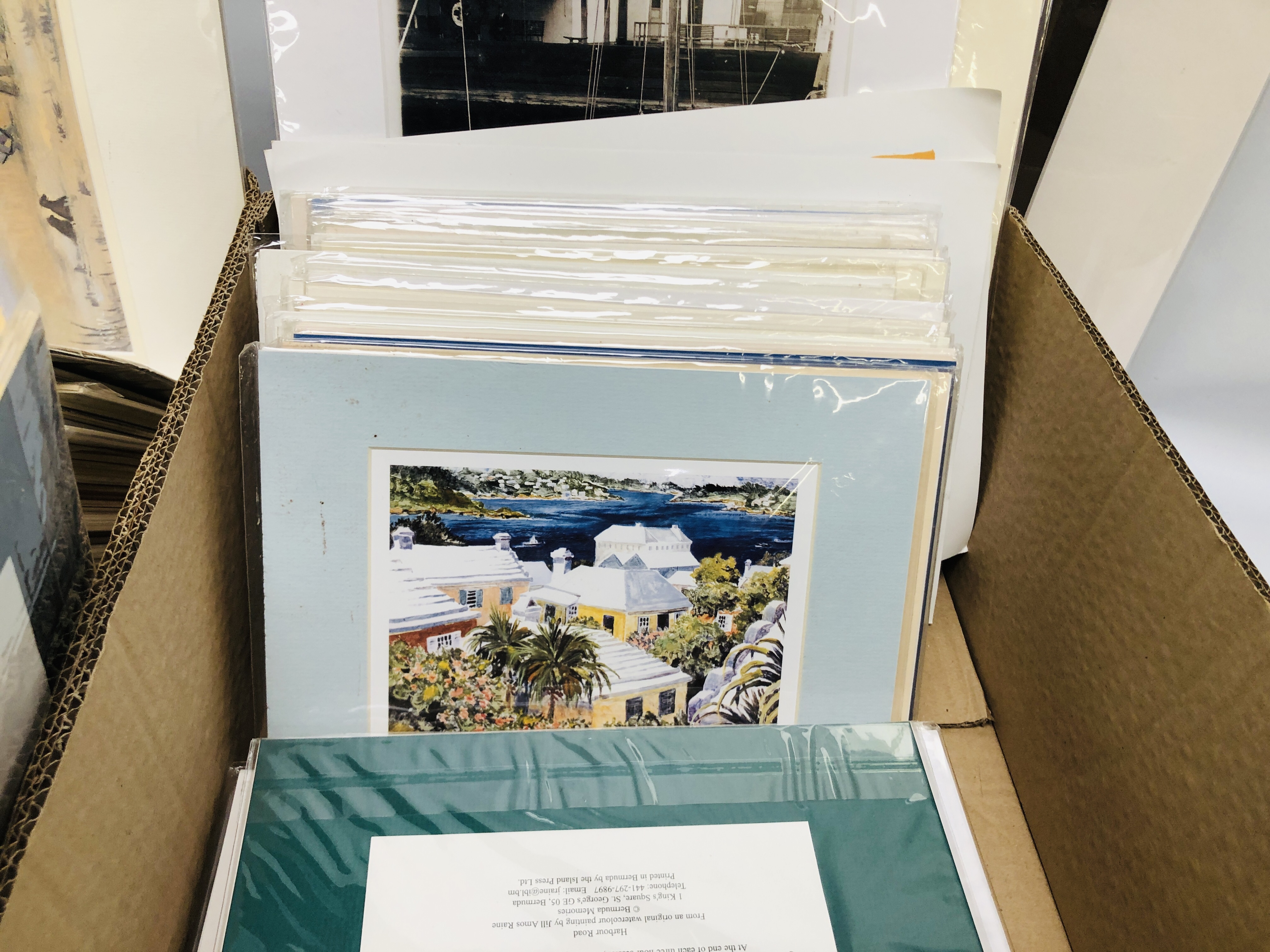 TWO BOXES OF MOUNTED PRINTS DEPICTING MAINLY SCENES OF BERMUDA BEARING PENCIL SIGNATURE DIANA - Image 10 of 11