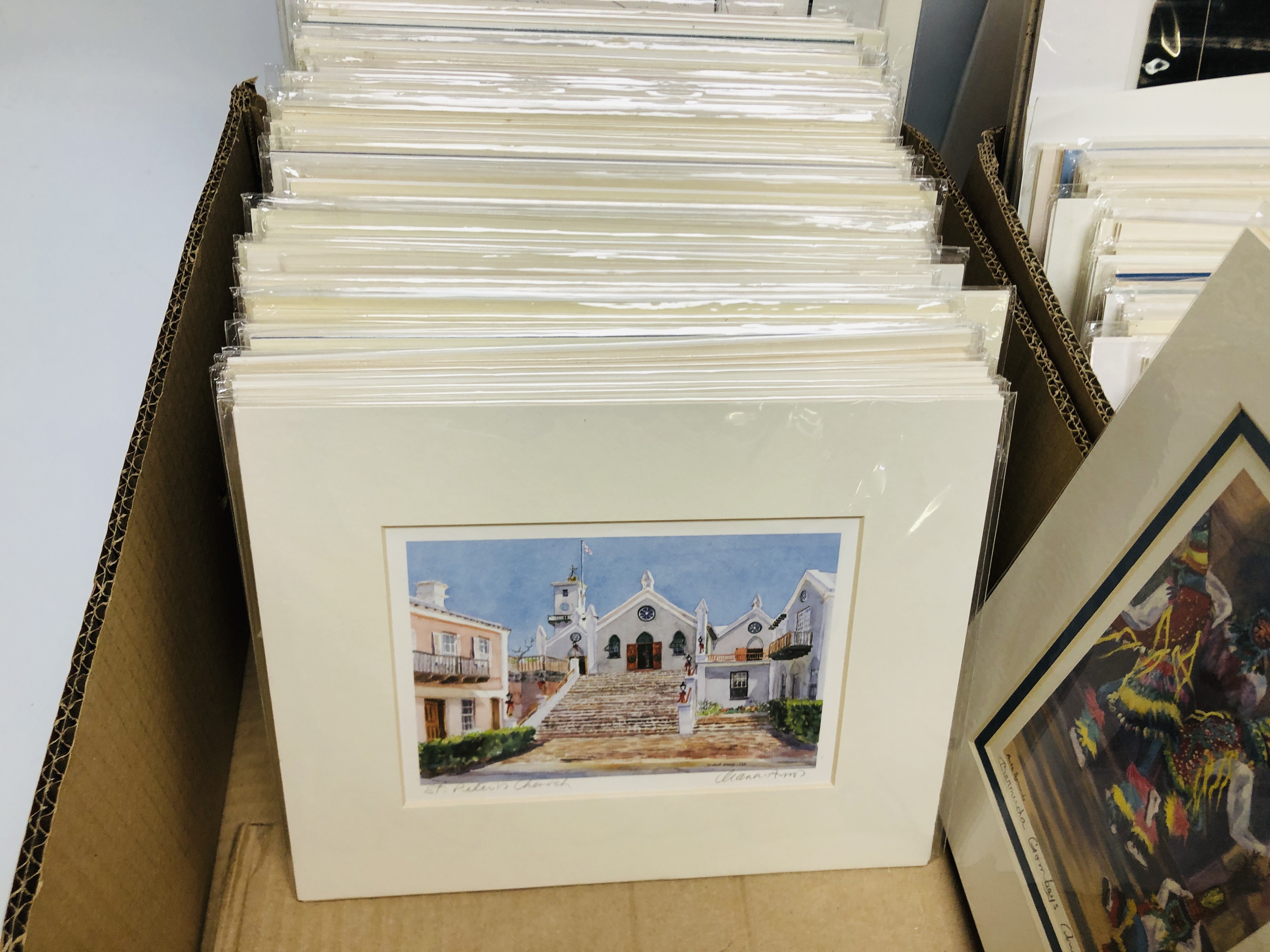 TWO BOXES OF MOUNTED PRINTS DEPICTING MAINLY SCENES OF BERMUDA BEARING PENCIL SIGNATURE DIANA - Image 3 of 11