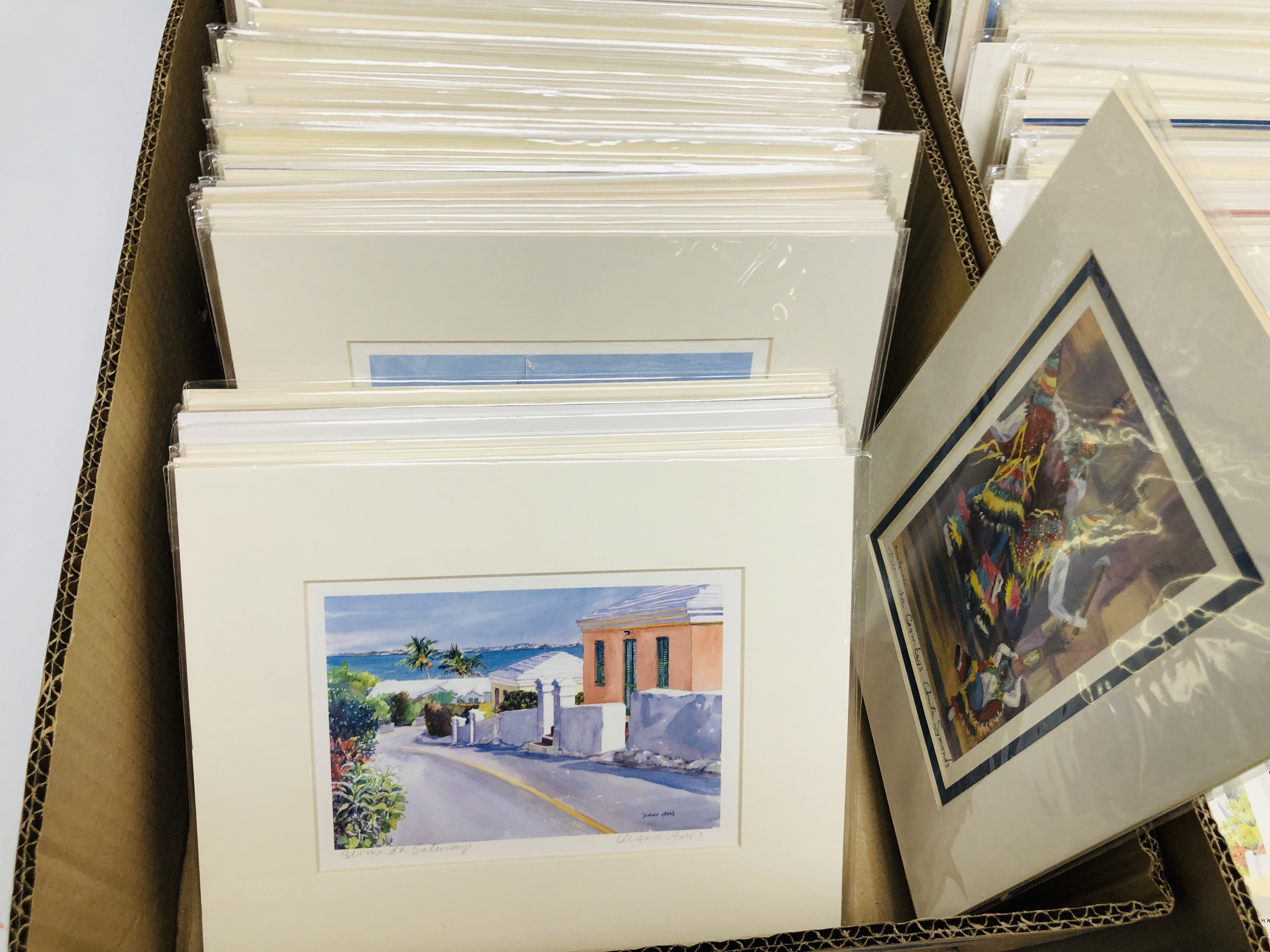 TWO BOXES OF MOUNTED PRINTS DEPICTING MAINLY SCENES OF BERMUDA BEARING PENCIL SIGNATURE DIANA - Image 2 of 11