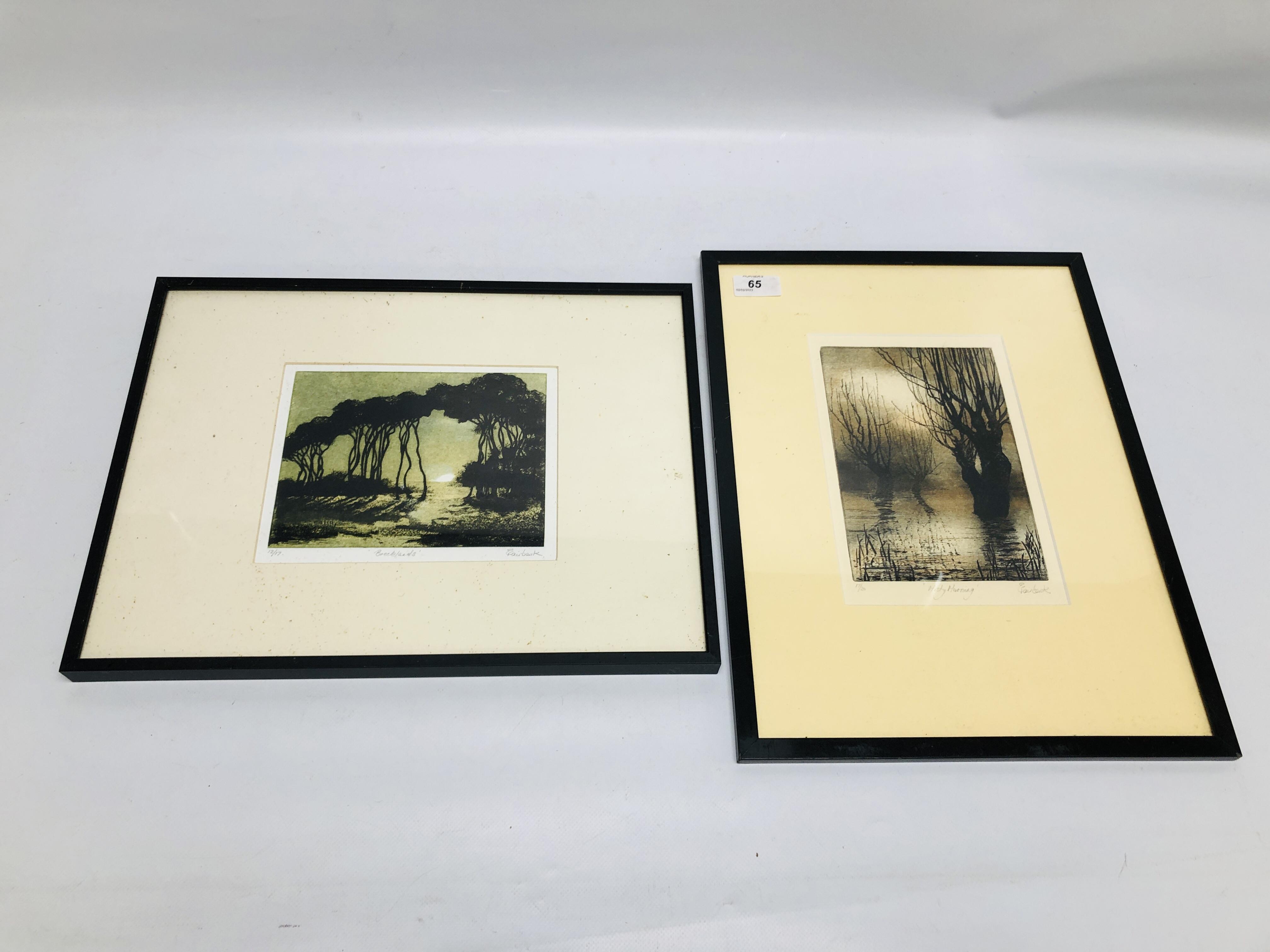 TWO FRAMED AND MOUNTED LIMITED EDITION ETCHINGS TO INCLUDE "MISTY MORNING" 17/20, W 13.