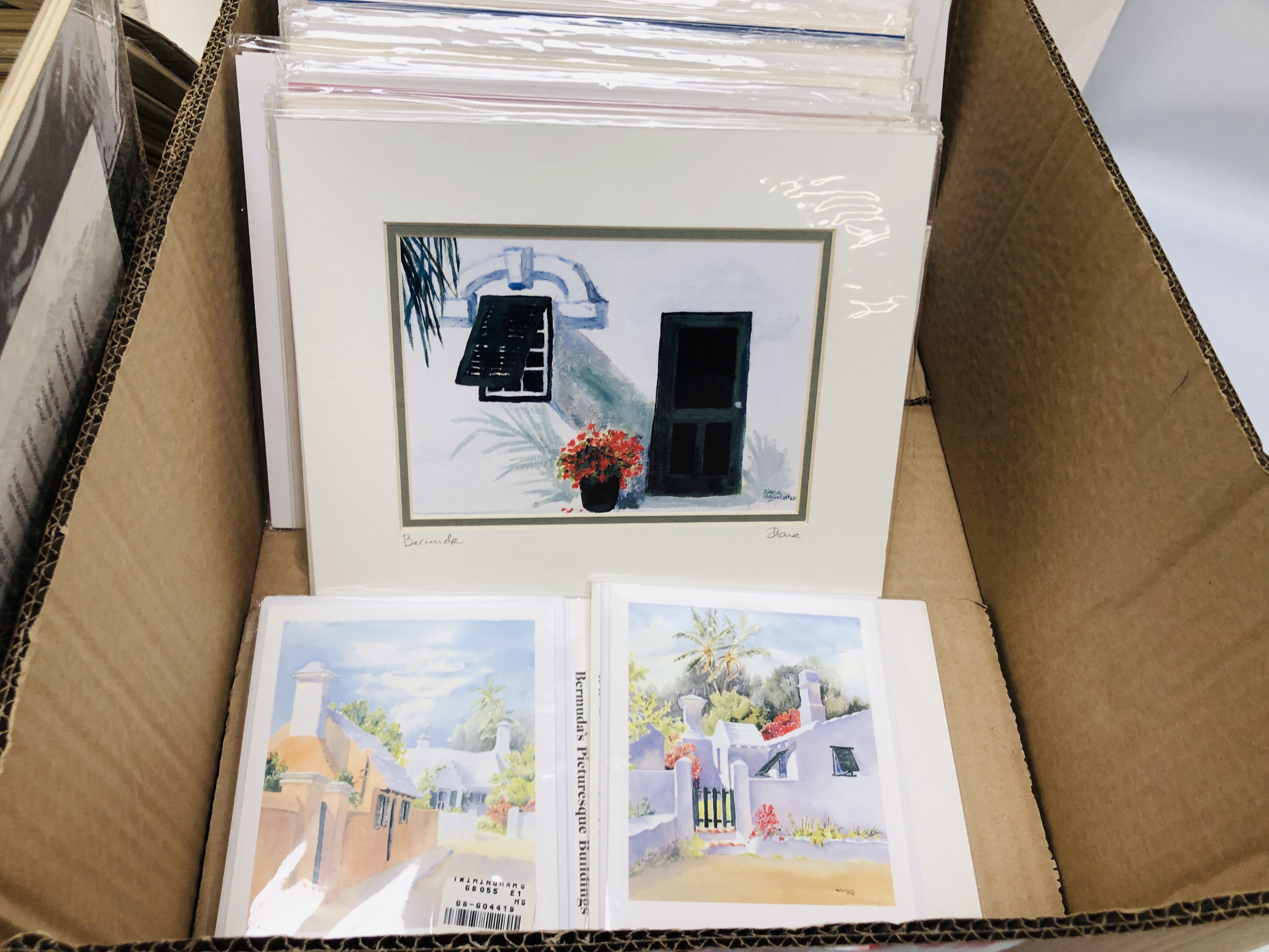 TWO BOXES OF MOUNTED PRINTS DEPICTING MAINLY SCENES OF BERMUDA BEARING PENCIL SIGNATURE DIANA - Image 9 of 11