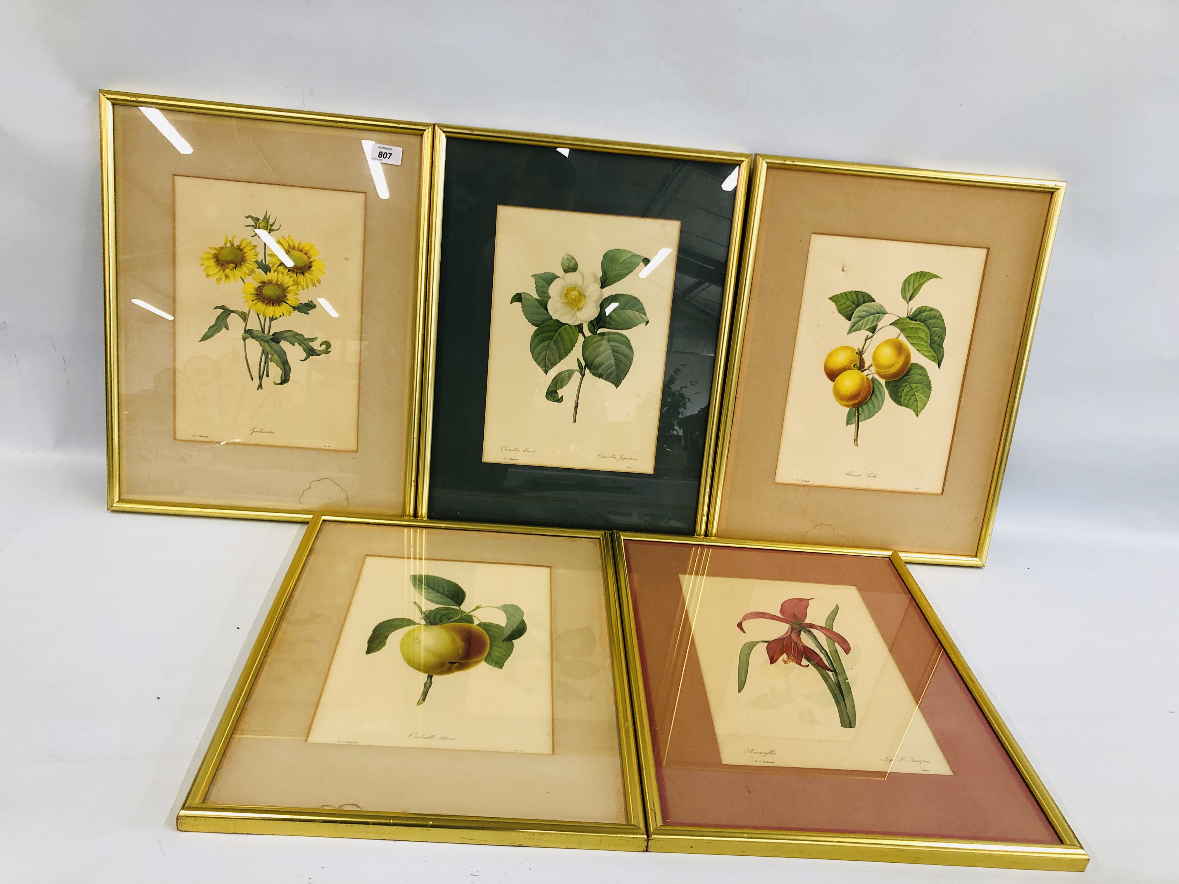 FIVE FRAMED AND MOUNTED P J REDOUTE BOTANICAL PRINTS EACH 33 X 23CM.