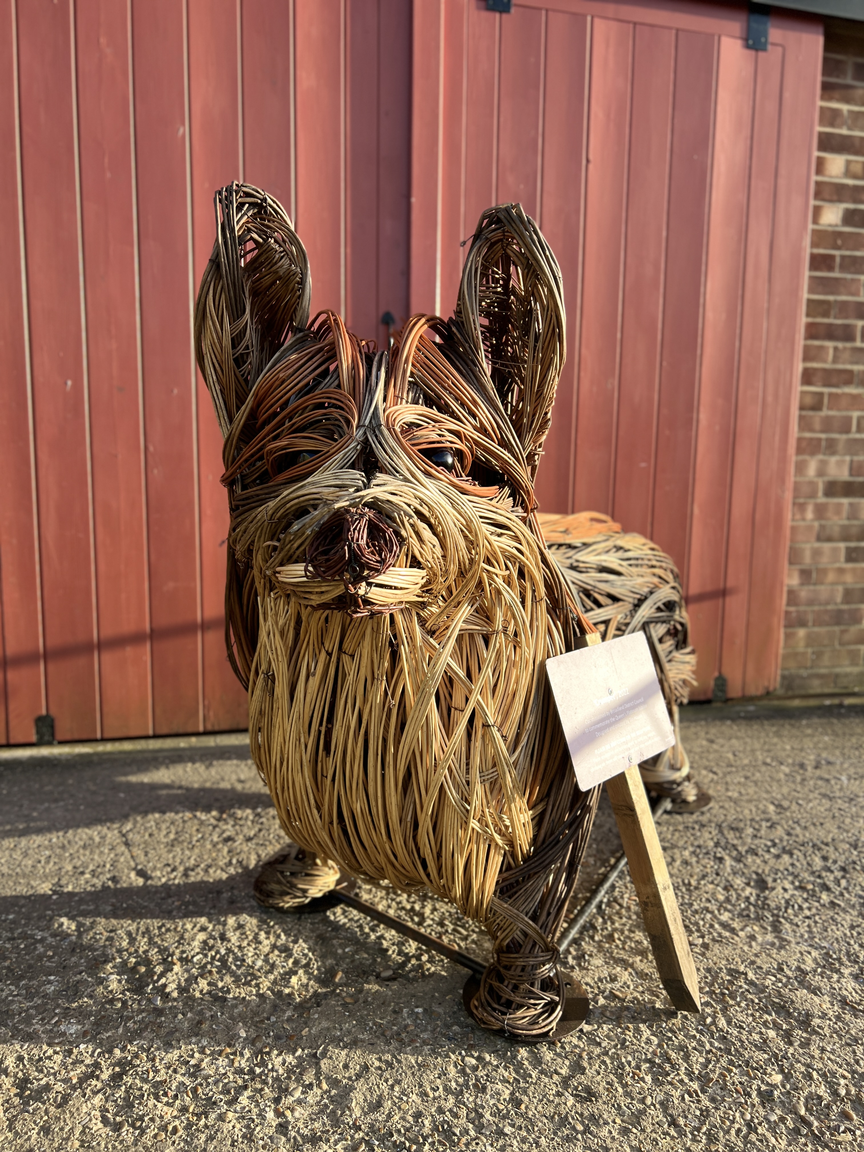 A TIN HOUSE OVERSIZE WILLOW CORGI SCULPTURE BY ALI MACKENZIE "CRUMPET" No. - Image 12 of 12