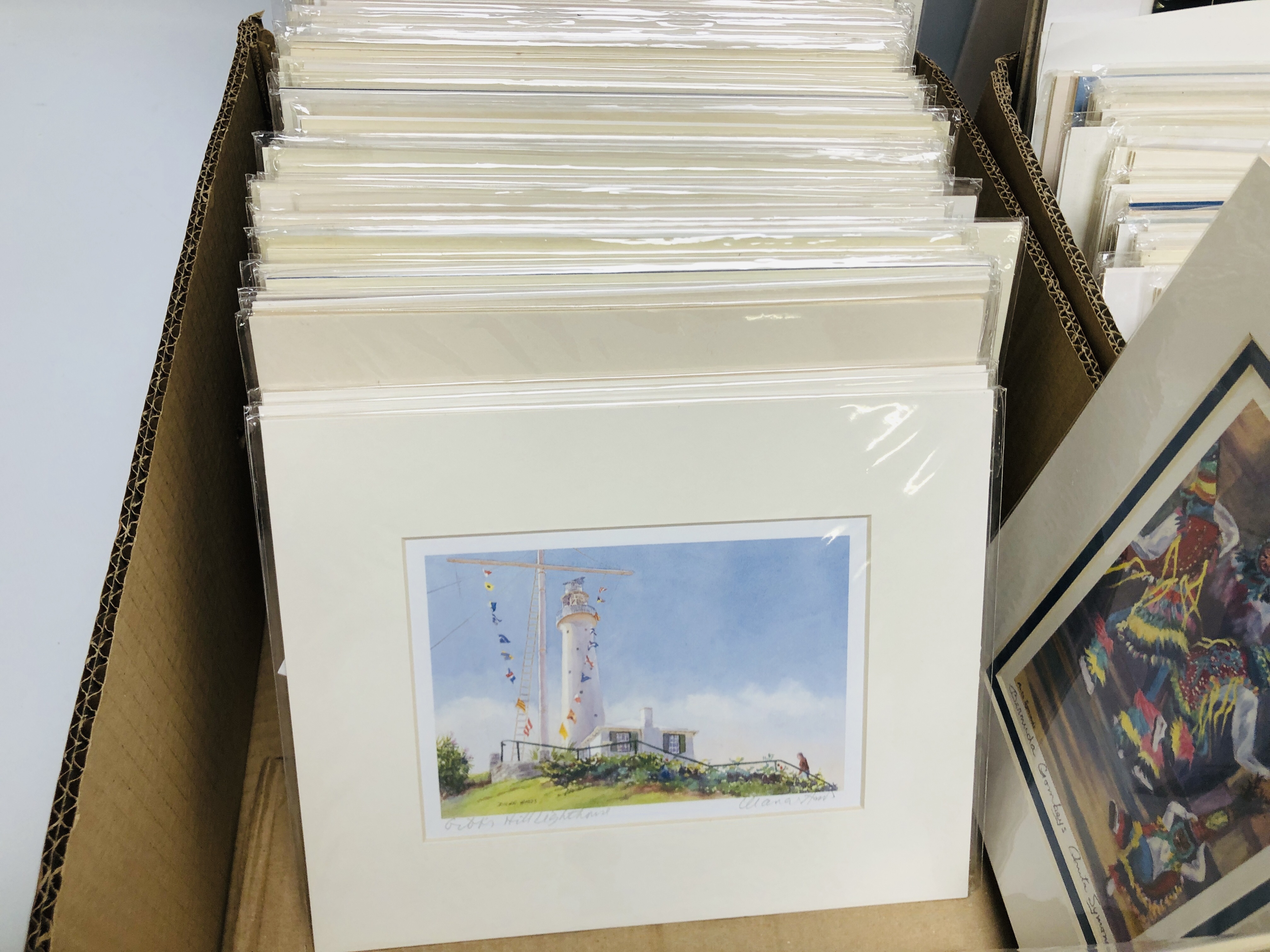 TWO BOXES OF MOUNTED PRINTS DEPICTING MAINLY SCENES OF BERMUDA BEARING PENCIL SIGNATURE DIANA - Image 4 of 11