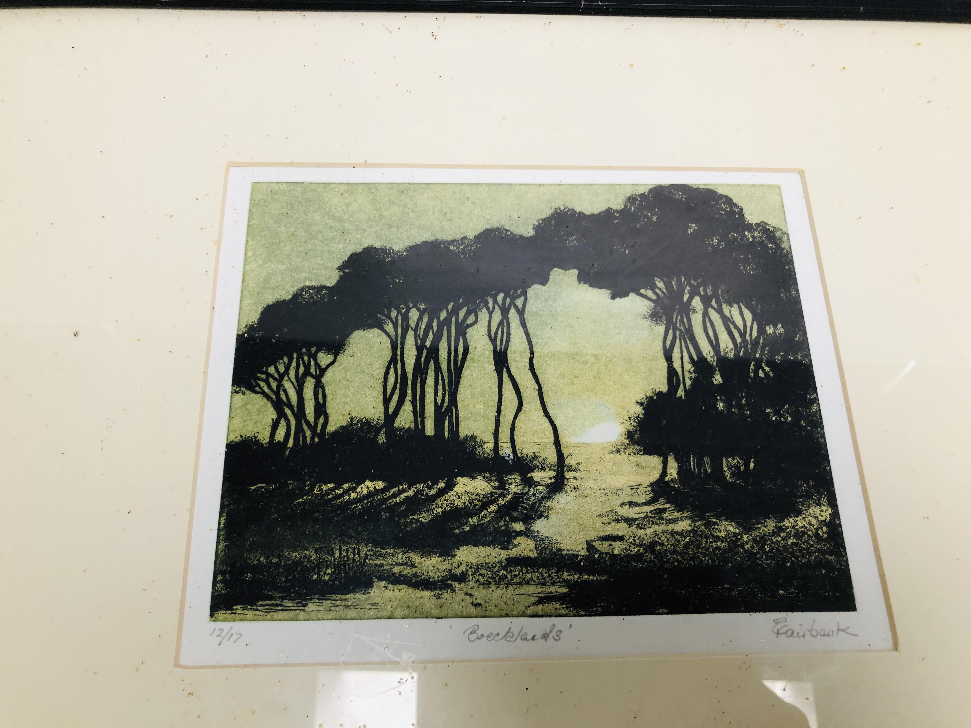 TWO FRAMED AND MOUNTED LIMITED EDITION ETCHINGS TO INCLUDE "MISTY MORNING" 17/20, W 13. - Image 2 of 7