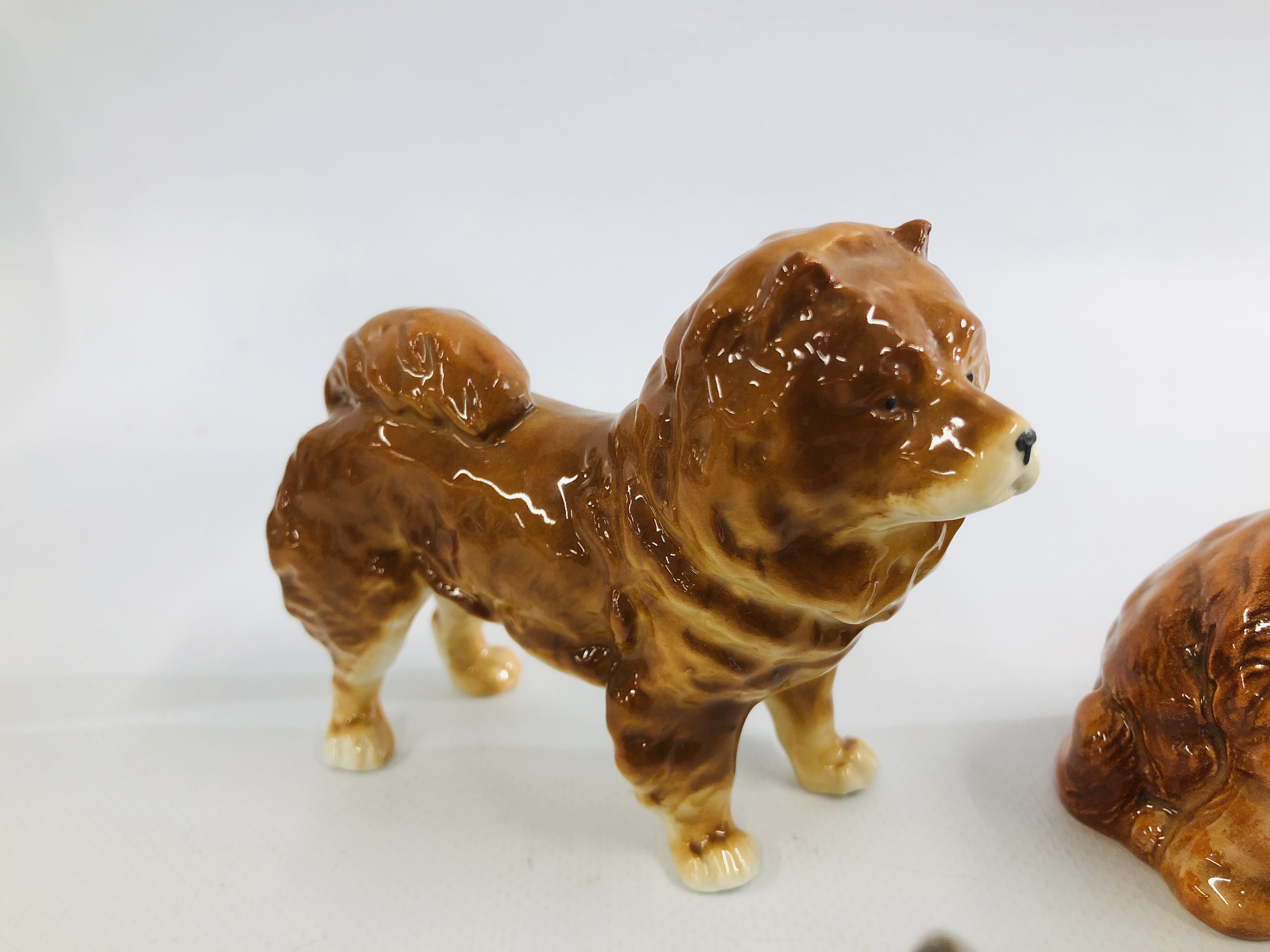 FOUR BESWICK "BANDSMEN" CATS AND BESWICK GINGER CAT ORNAMENT AND CHOW-CHOW DOG ORNAMENT - Image 5 of 9