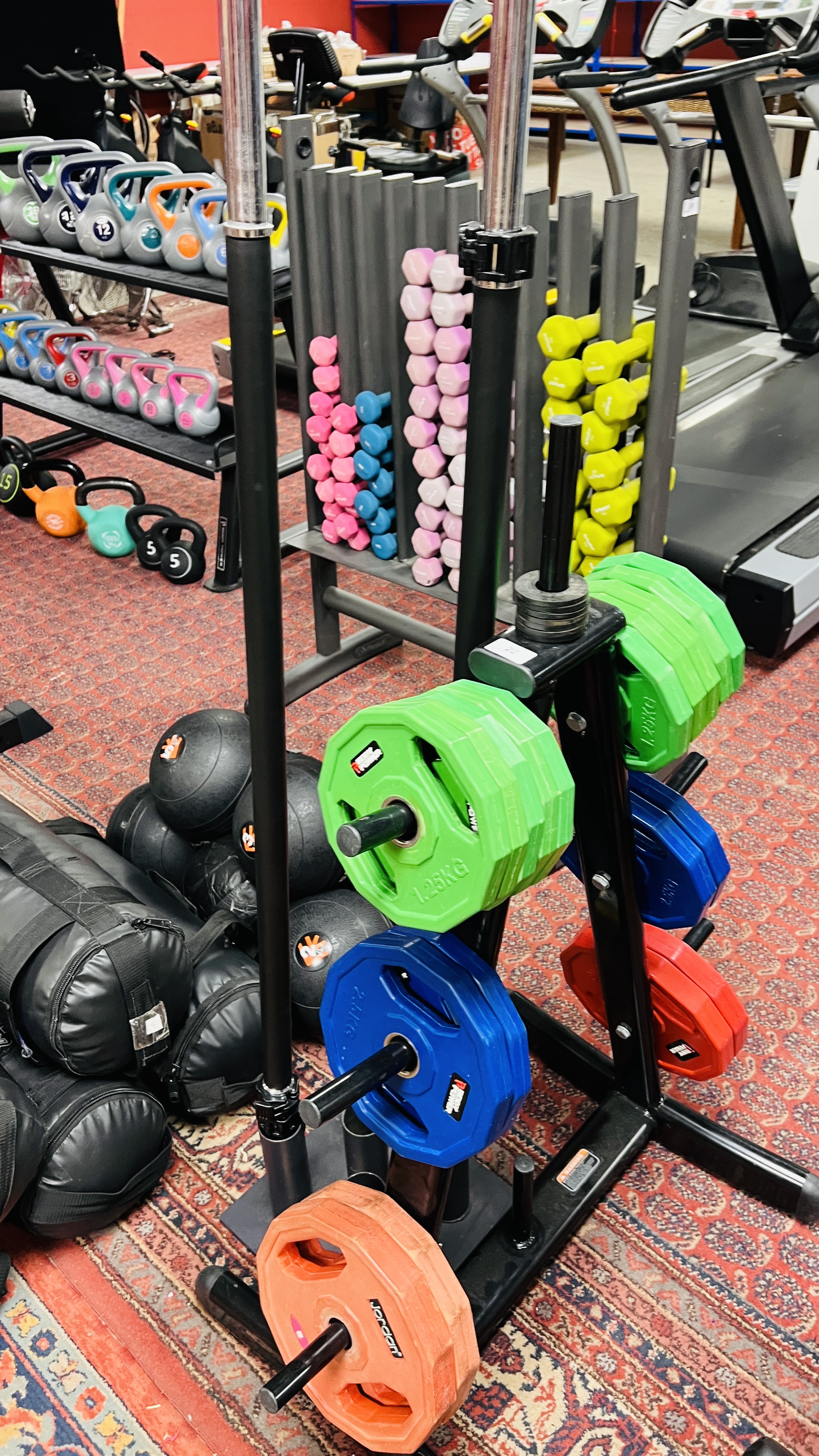 A PROFESSIONAL GYM WEIGHT STAND CONTAINING 18 X BAR WEIGHTS VARIOUS SIZES - MAINLY BODY POWER ALONG