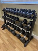 A PROFESSIONAL GYM BODY POWER THREE TIER DUMB BELL WEIGHT STAND CONTAINING TOTAL 28 DUMB BELLS