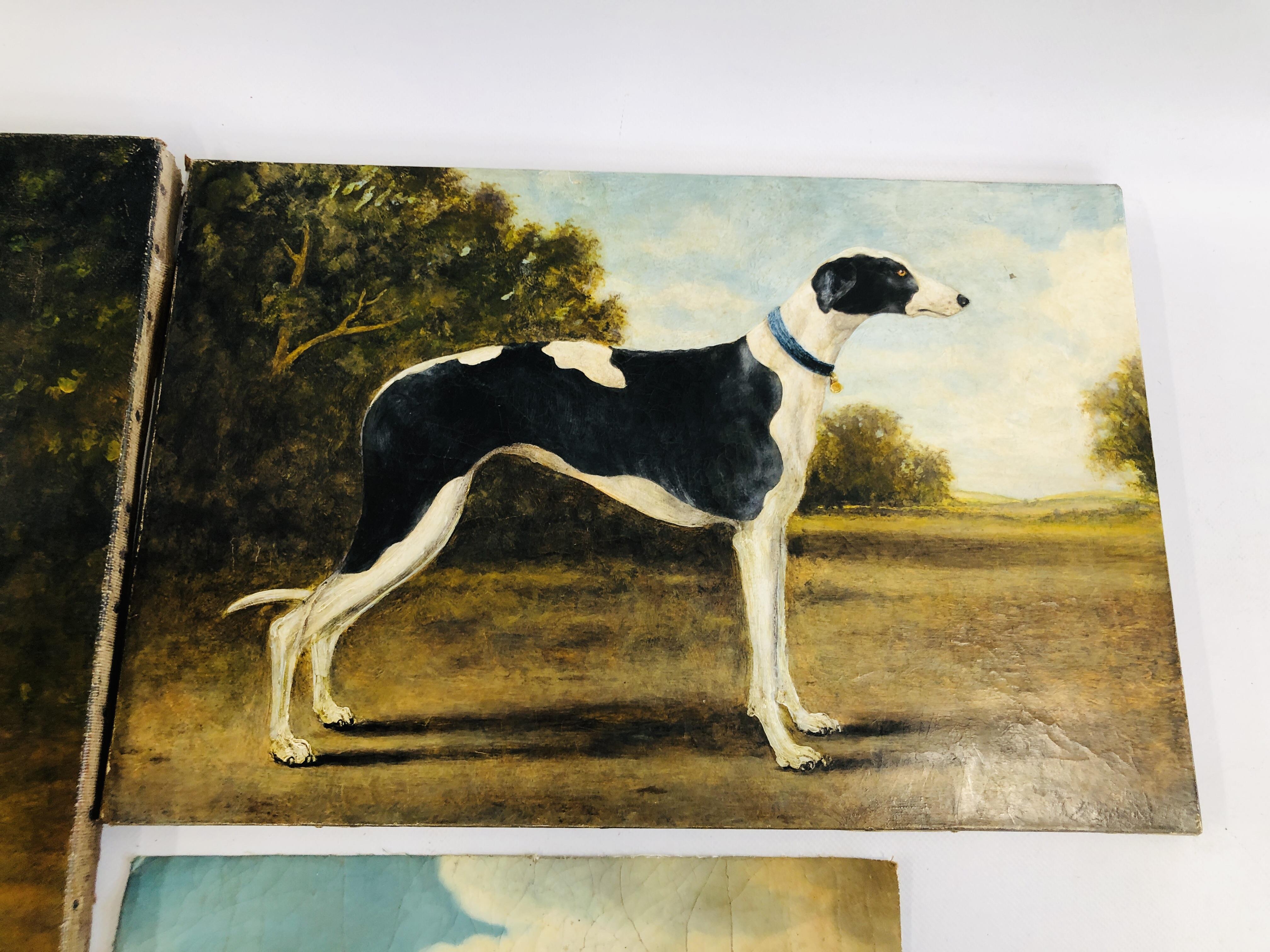 3 OIL ON CANVAS GREYHOUNDS BEARING SIGNATURE H. - Image 3 of 6
