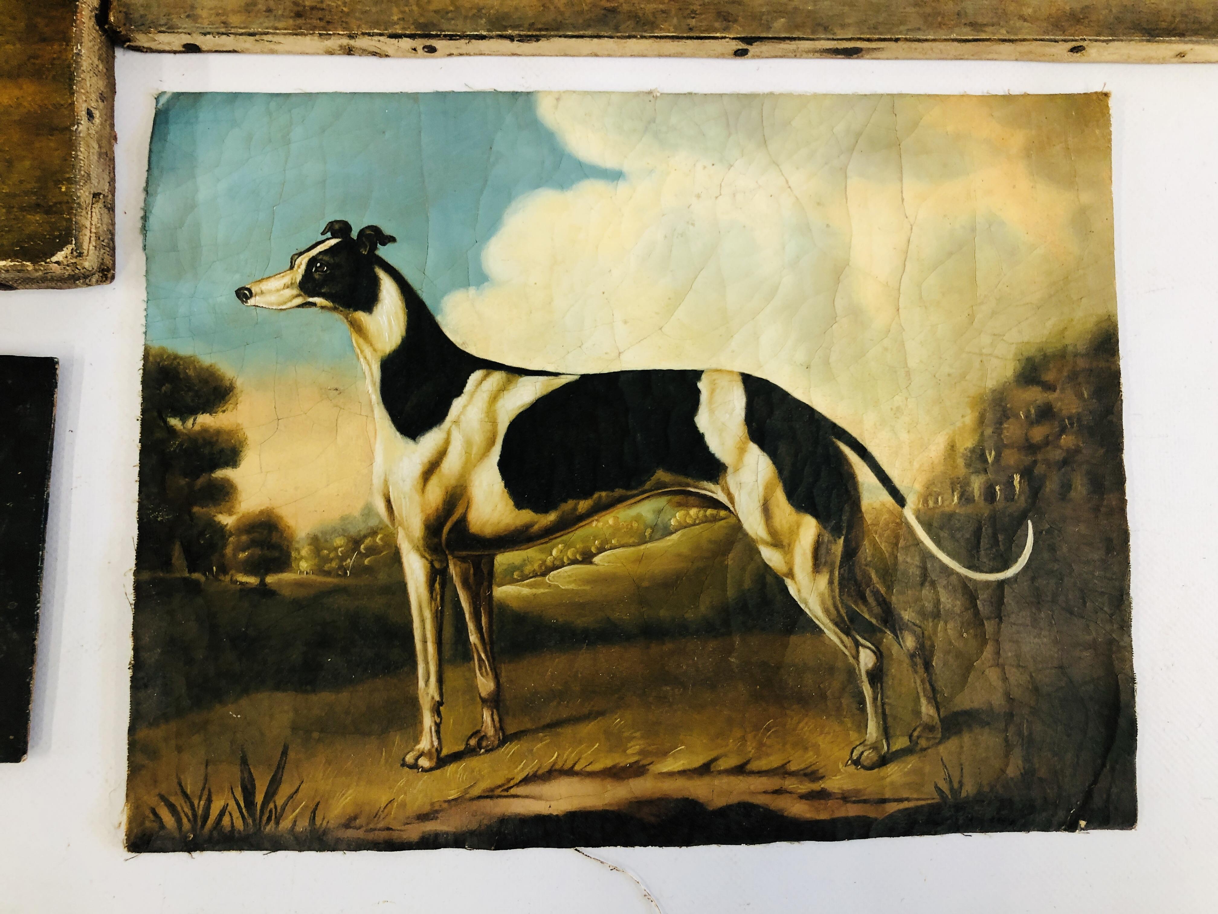 3 OIL ON CANVAS GREYHOUNDS BEARING SIGNATURE H. - Image 2 of 6
