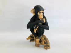 COUNTRY ARTISTS "CHIMPANZEE YOUNG AND INQUISITIVE" HAND PAINTED ORNAMENT. H 36CM.