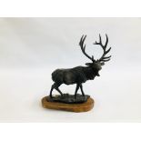 REPRODUCTION CAST METAL STAG ON WOODEN BASE, H 48.5CM X L 37CM.