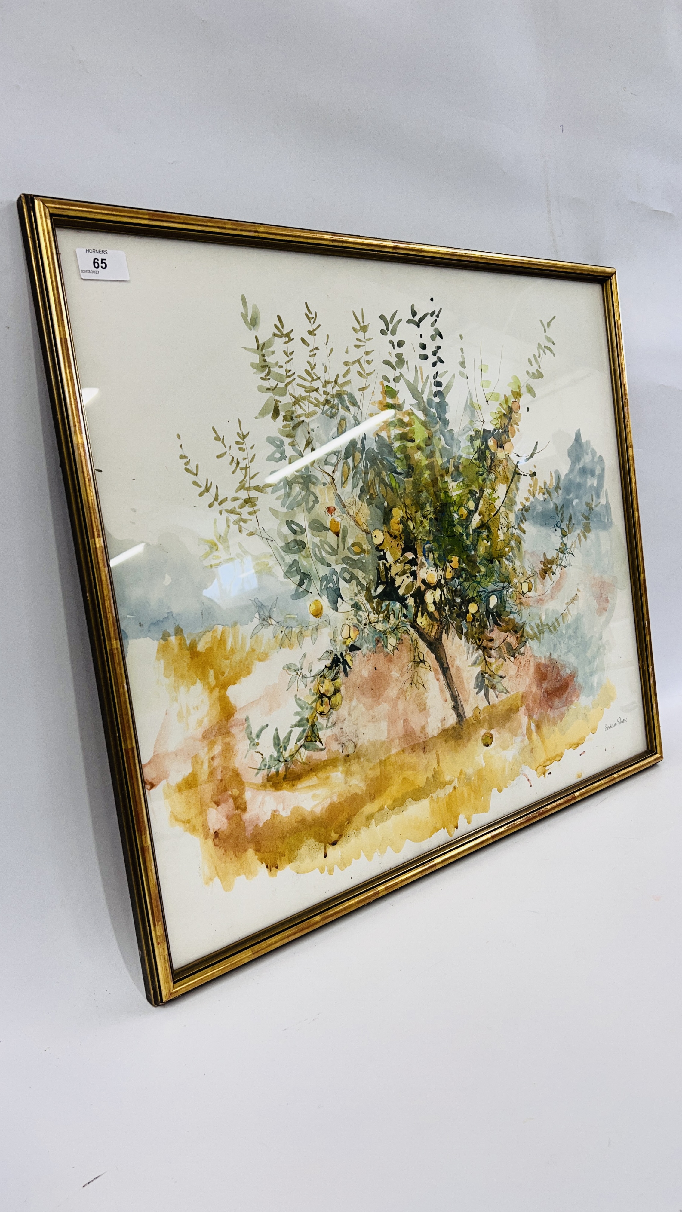 SUSAN SHAW: FRUIT TREE, WATERCOLOUR, 55 X 65CM. - Image 3 of 3