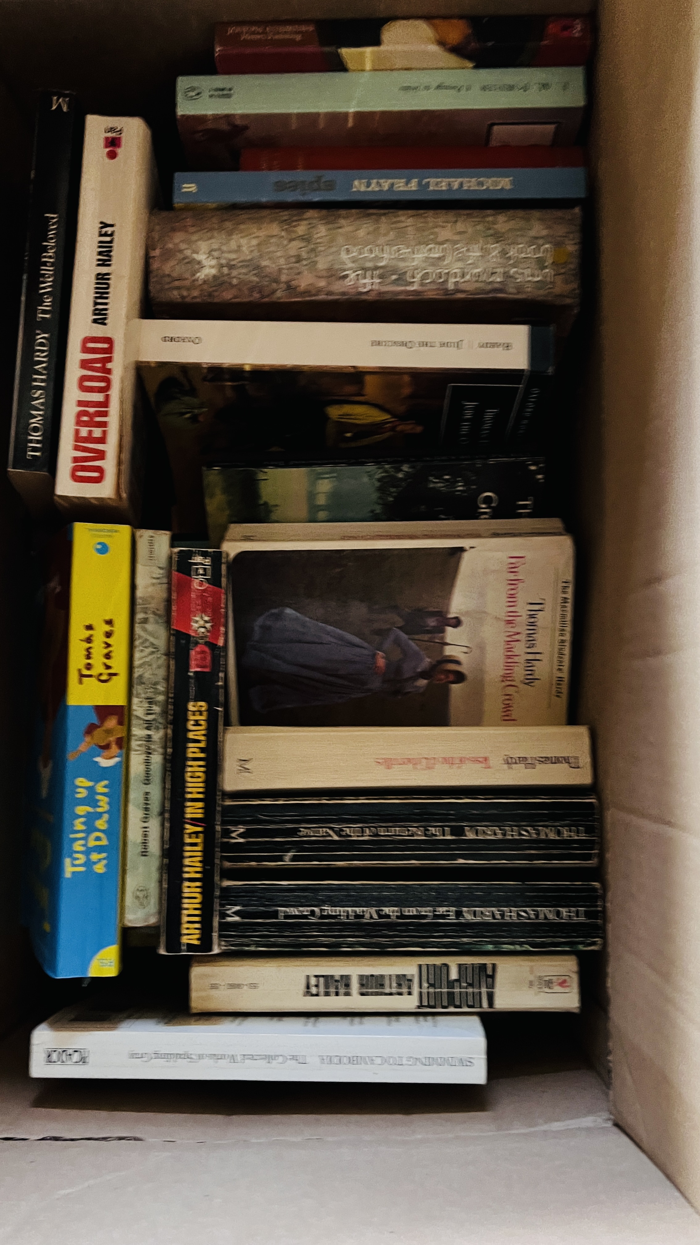 16 BOXES ASSORTED BOOKS - AS CLEARED TO INCLUDE ART REFERENCE, LITERATURE, POETICAL WORKS, - Image 15 of 18