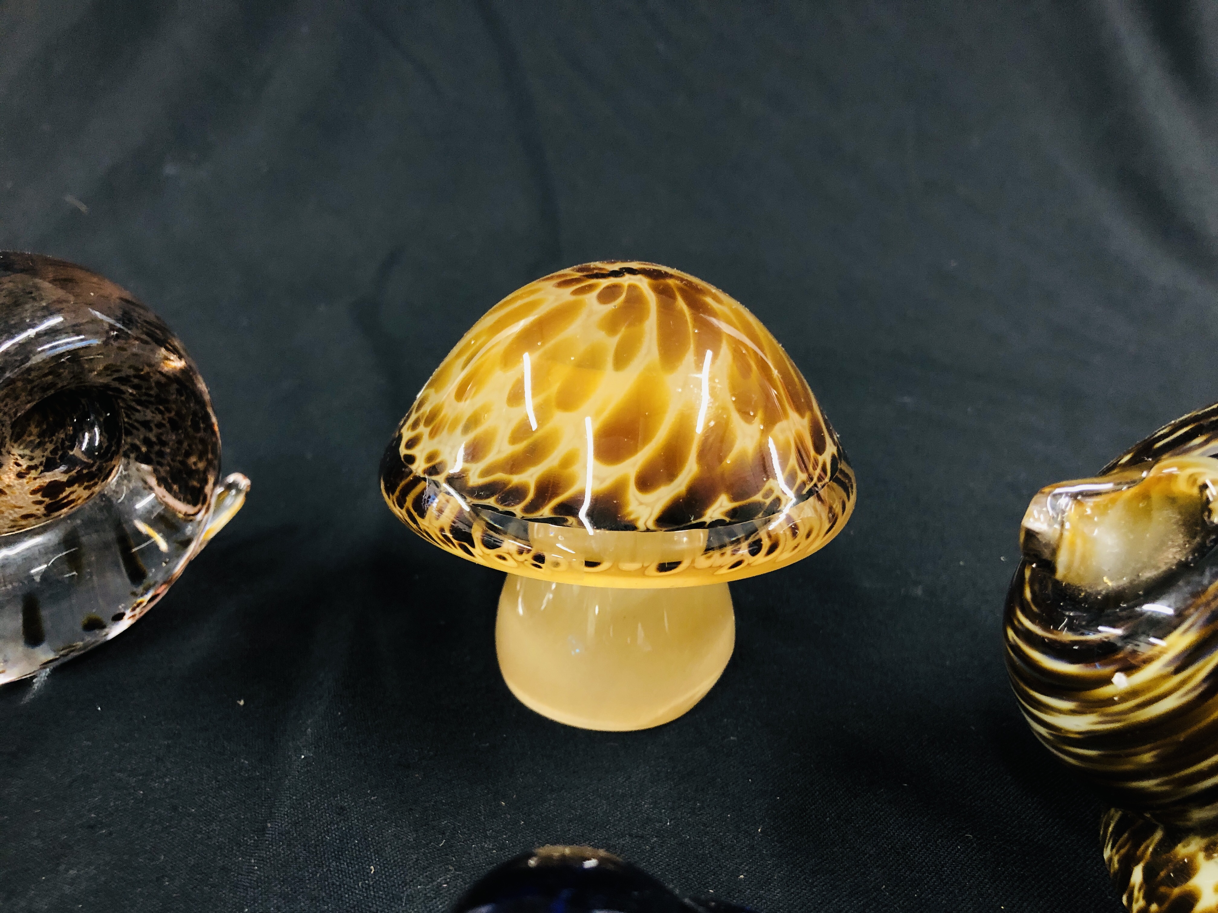 A GROUP OF 5 ART GLASS PAPERWEIGHTS TO INCLUDE 2 SNAILS AND 2 BIRDS ALONG WITH A TOADSTOOL BEARING - Image 3 of 6