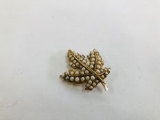 A VINTAGE LEAF BROOCH MARKED 10KT SET WITH MULTIPLE SEED PEARLS (1 MISSING).