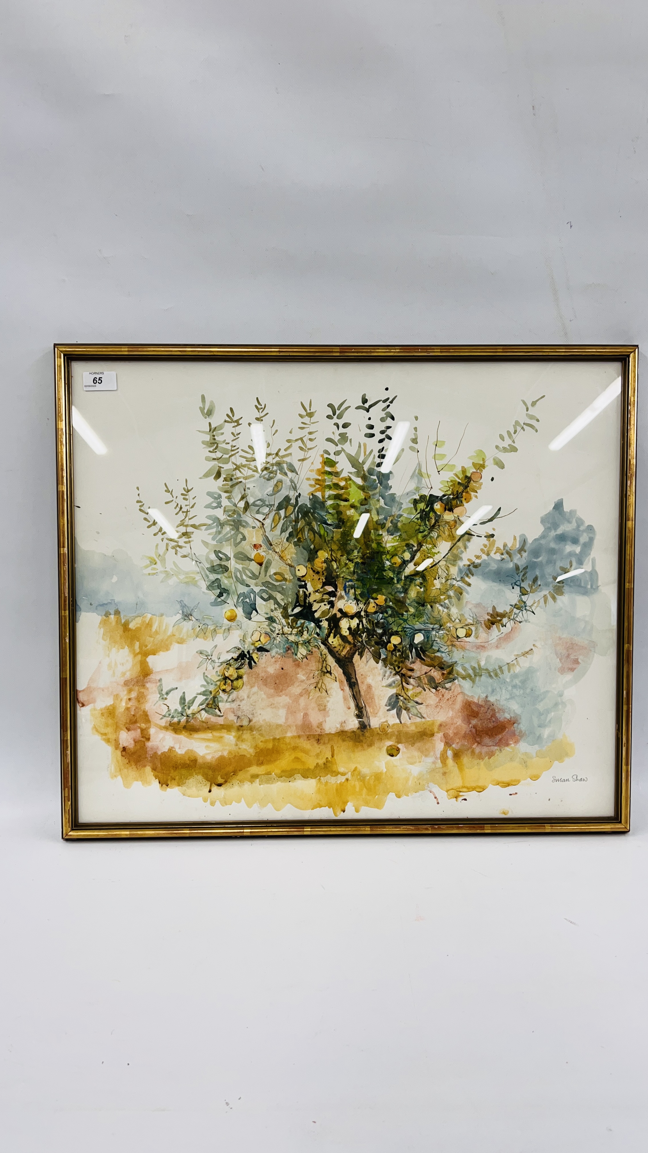 SUSAN SHAW: FRUIT TREE, WATERCOLOUR, 55 X 65CM.