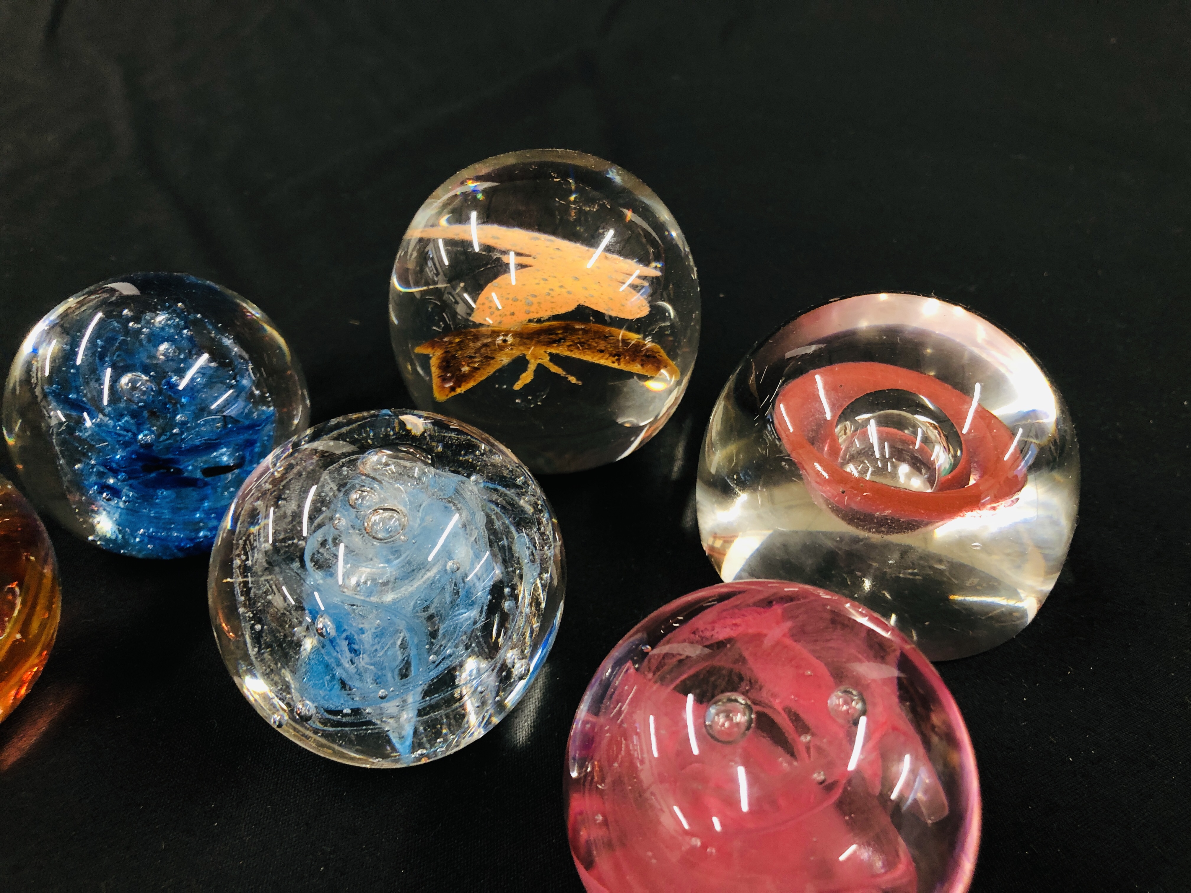 A GROUP OF 6 ART GLASS PAPERWEIGHTS TO INCLUDE A BUTTERFLY EXAMPLE. - Image 3 of 5