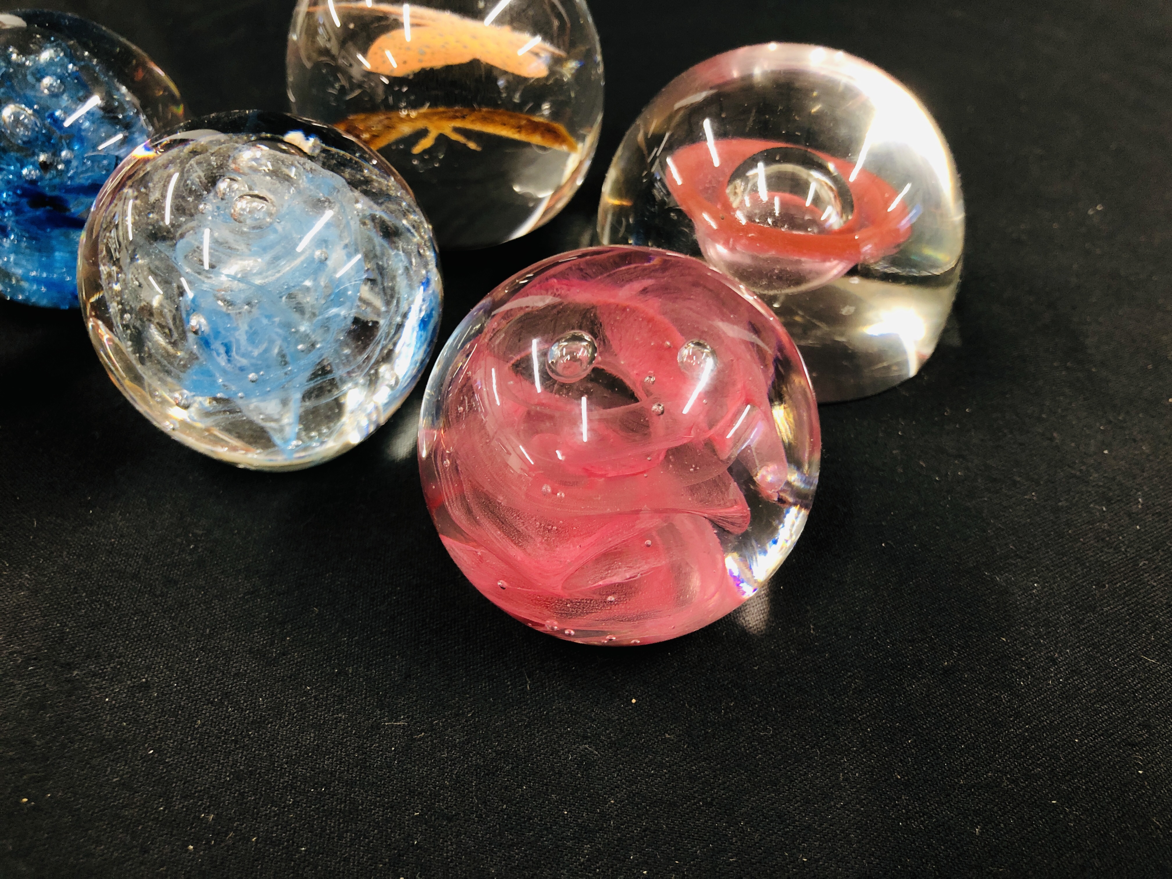 A GROUP OF 6 ART GLASS PAPERWEIGHTS TO INCLUDE A BUTTERFLY EXAMPLE. - Image 4 of 5