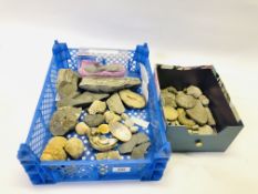 A COLLECTION OF ASSORTED FOSSILS TO INCLUDE MAINLY SEA CREATURES ETC.