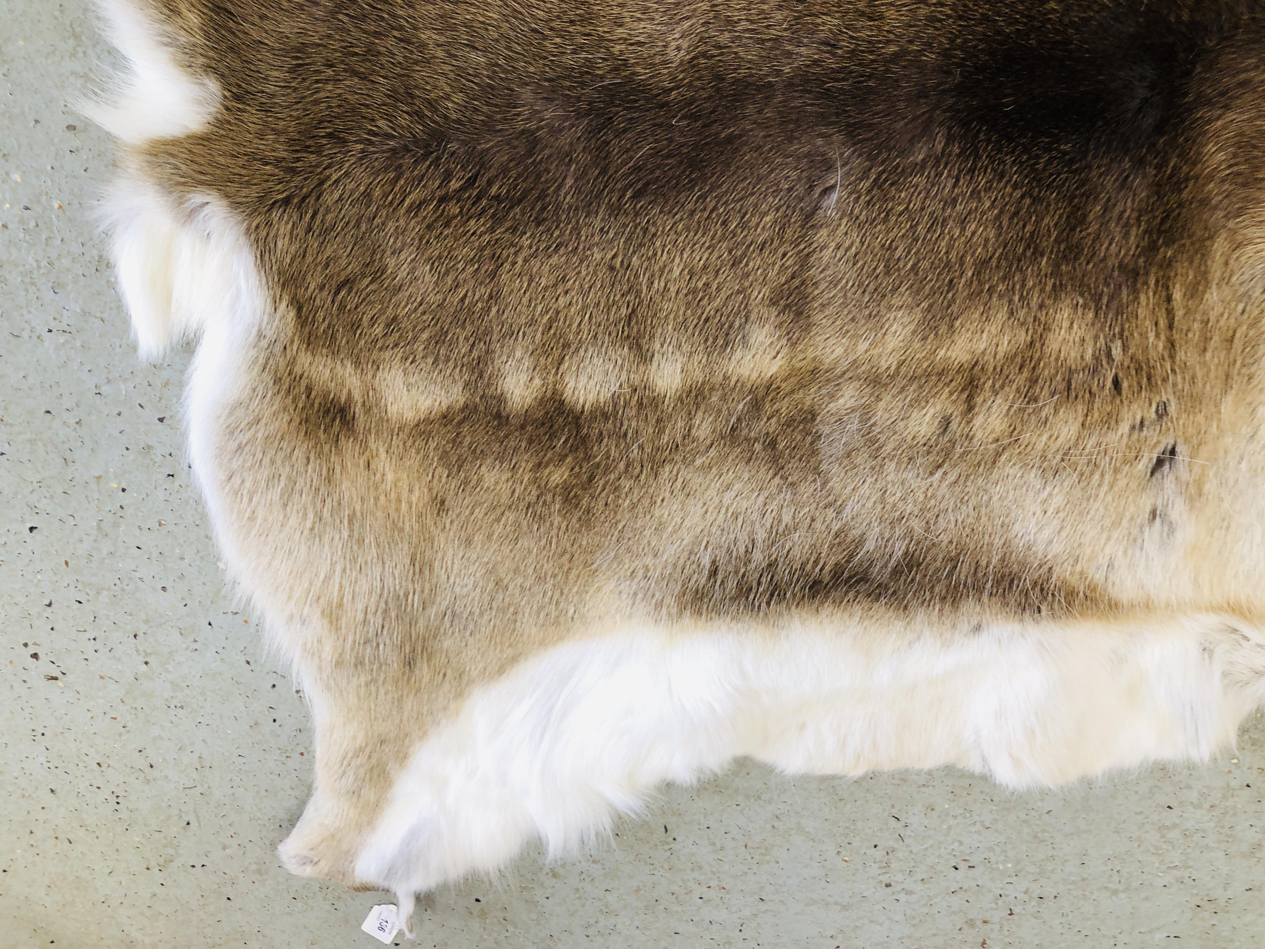 A DEER SKIN RUG L 30CM X W 115CM. - Image 4 of 6