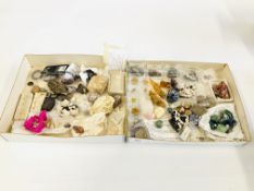 2 TRAYS CONTAINING APPROXIMATELY 60 ROCK, CRYSTAL POLISHED STONE, FOSSIL AND SHARK TEETH EXAMPLES.
