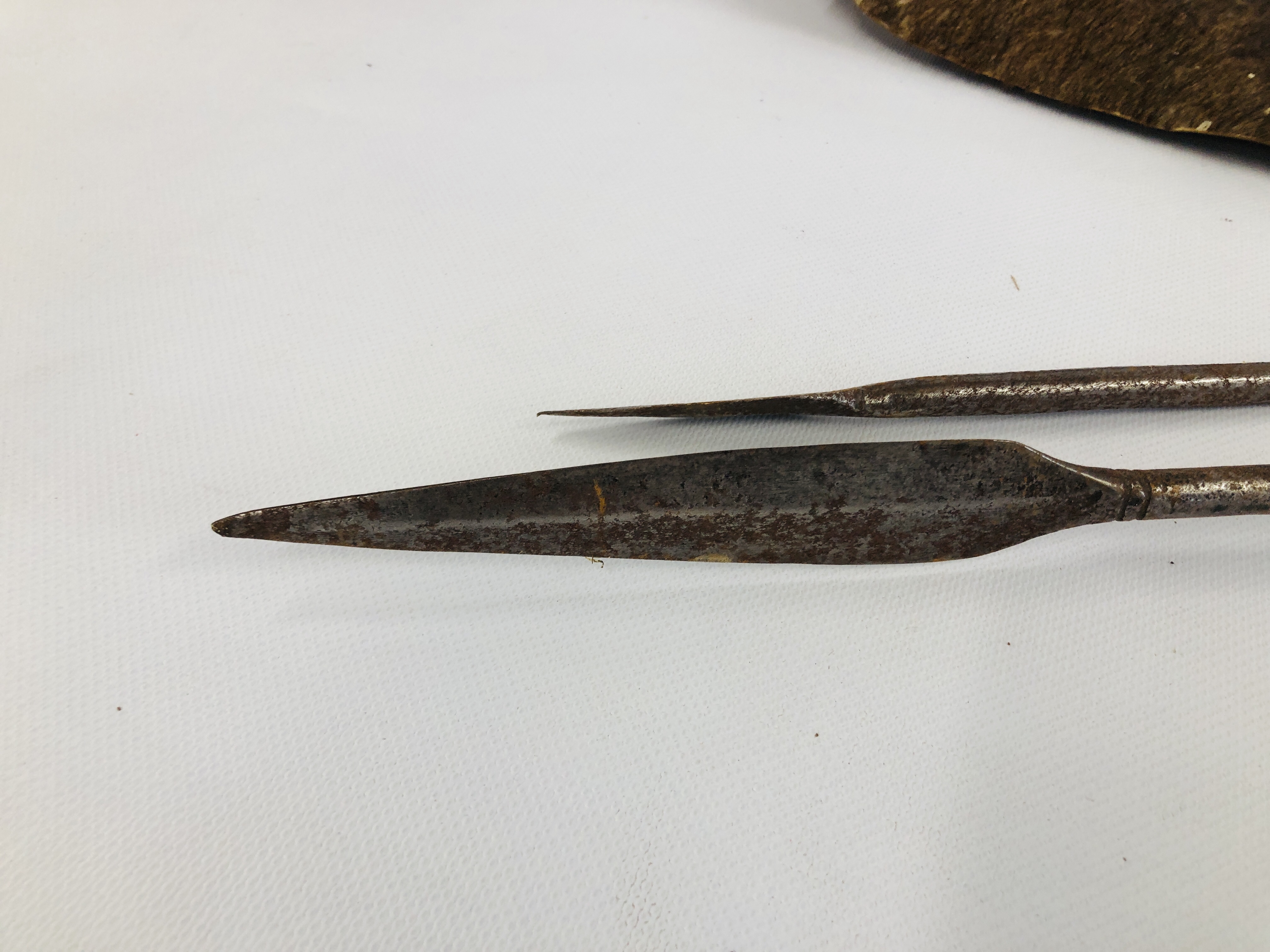 C19th LEATHER ZULU SHIELD ALONG WITH TWO THROWING SPEARS - THE SHIELD MEASURING 104 X 51CM ALONG - Image 3 of 15