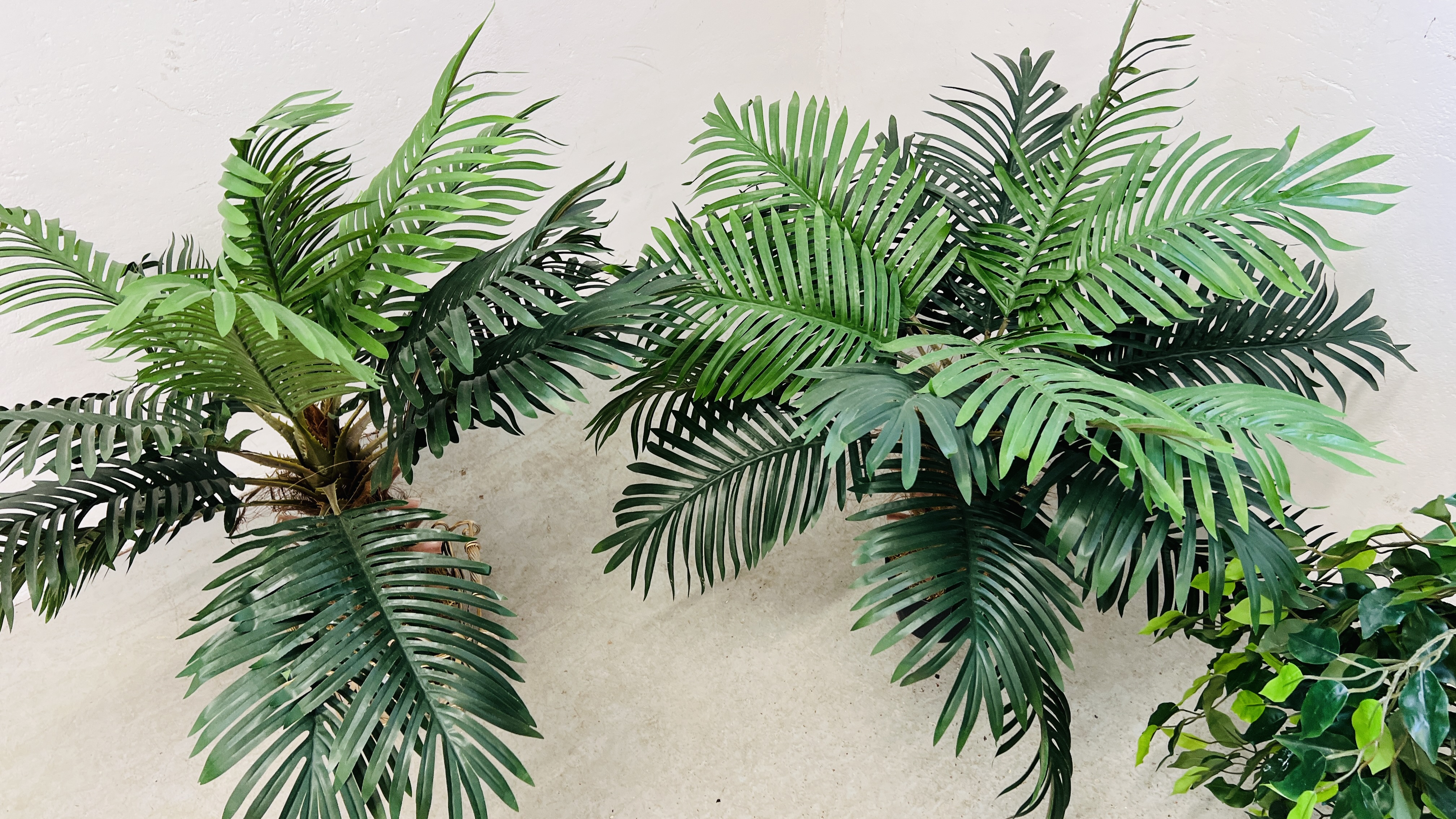 THREE ARTIFICIAL POTTED PLANTS. - Image 5 of 6