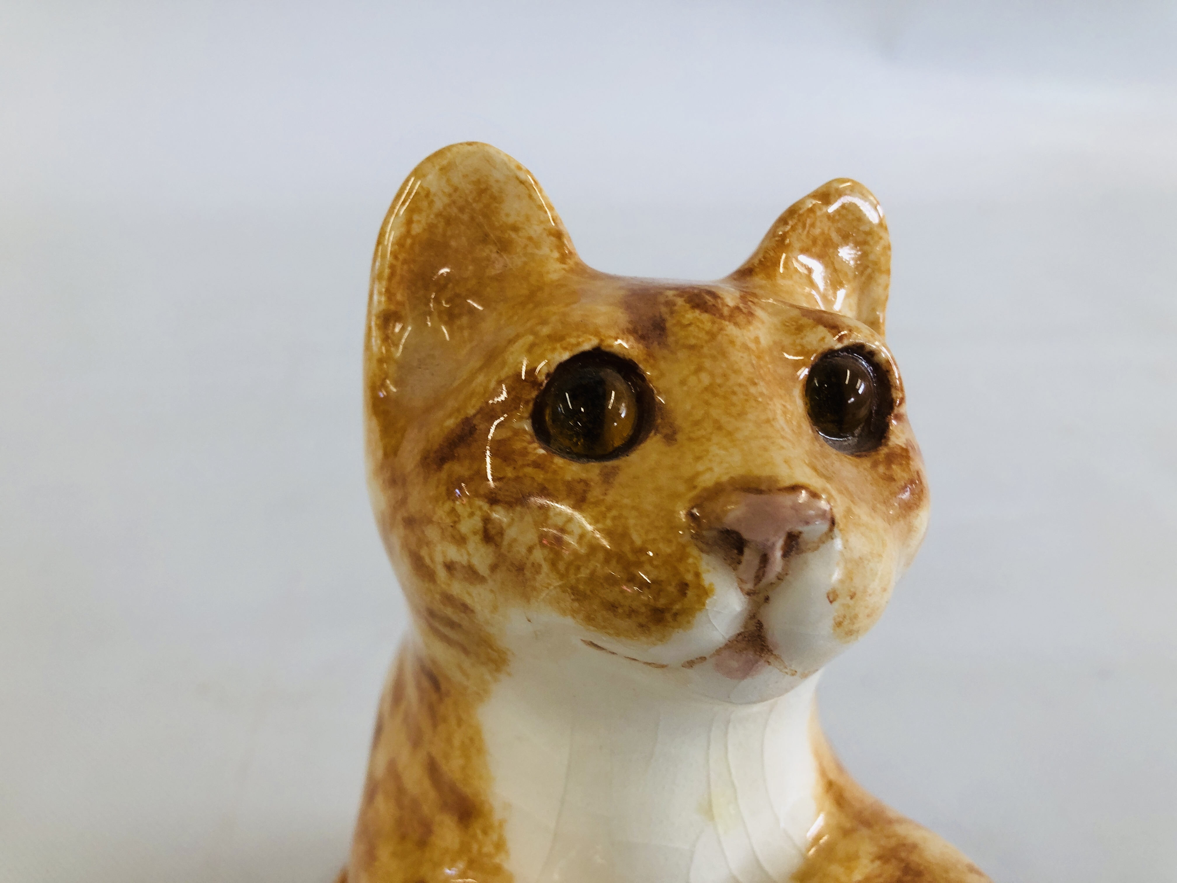 A WINSTANLEY POTTERY EXAMPLE OF A TABBY CAT "STANDING ON HIND LEGS" BEARING SIGNATURE TO THE BASE, - Image 7 of 13