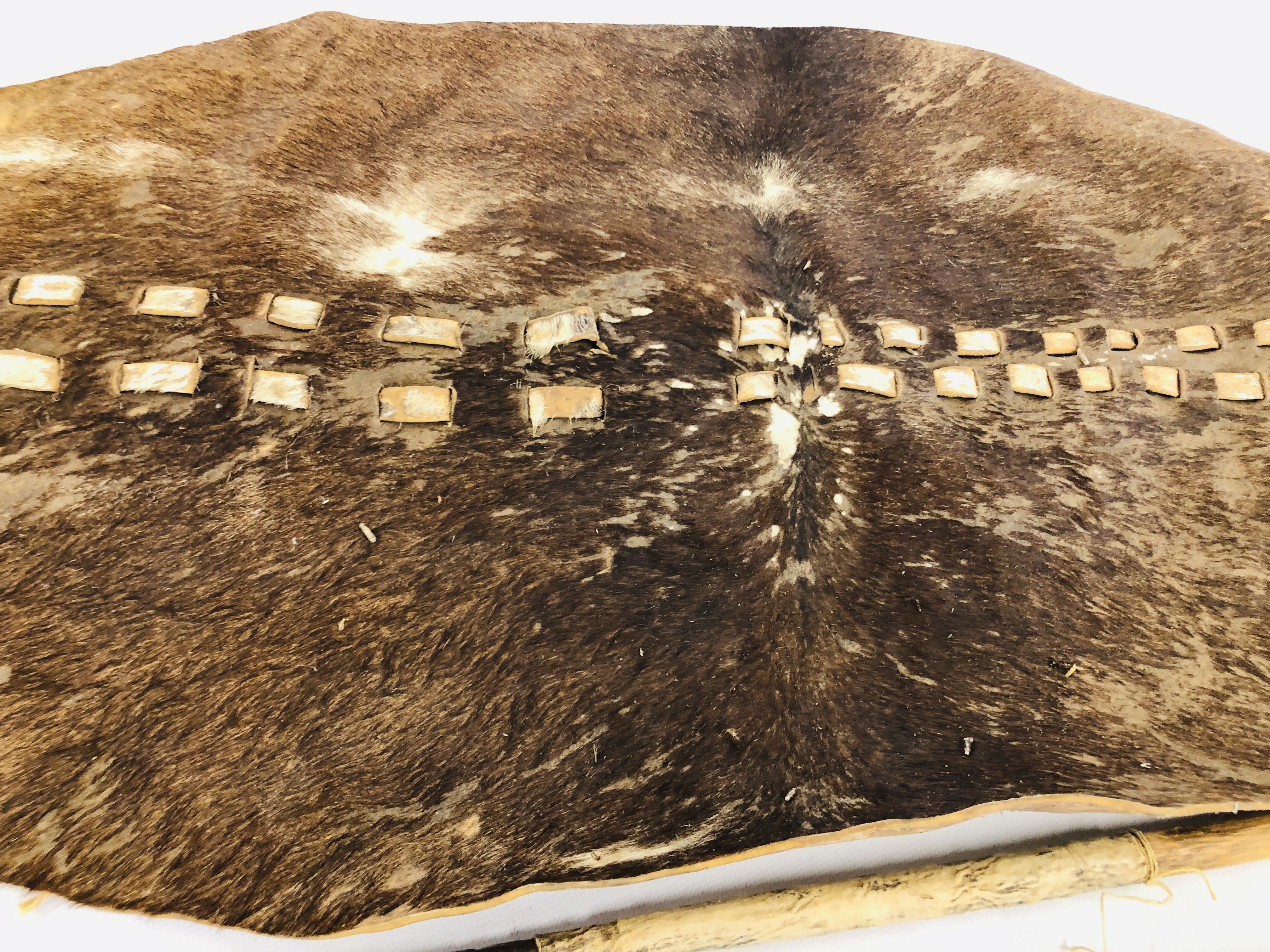 C19th LEATHER ZULU SHIELD ALONG WITH TWO THROWING SPEARS - THE SHIELD MEASURING 104 X 51CM ALONG - Image 12 of 15