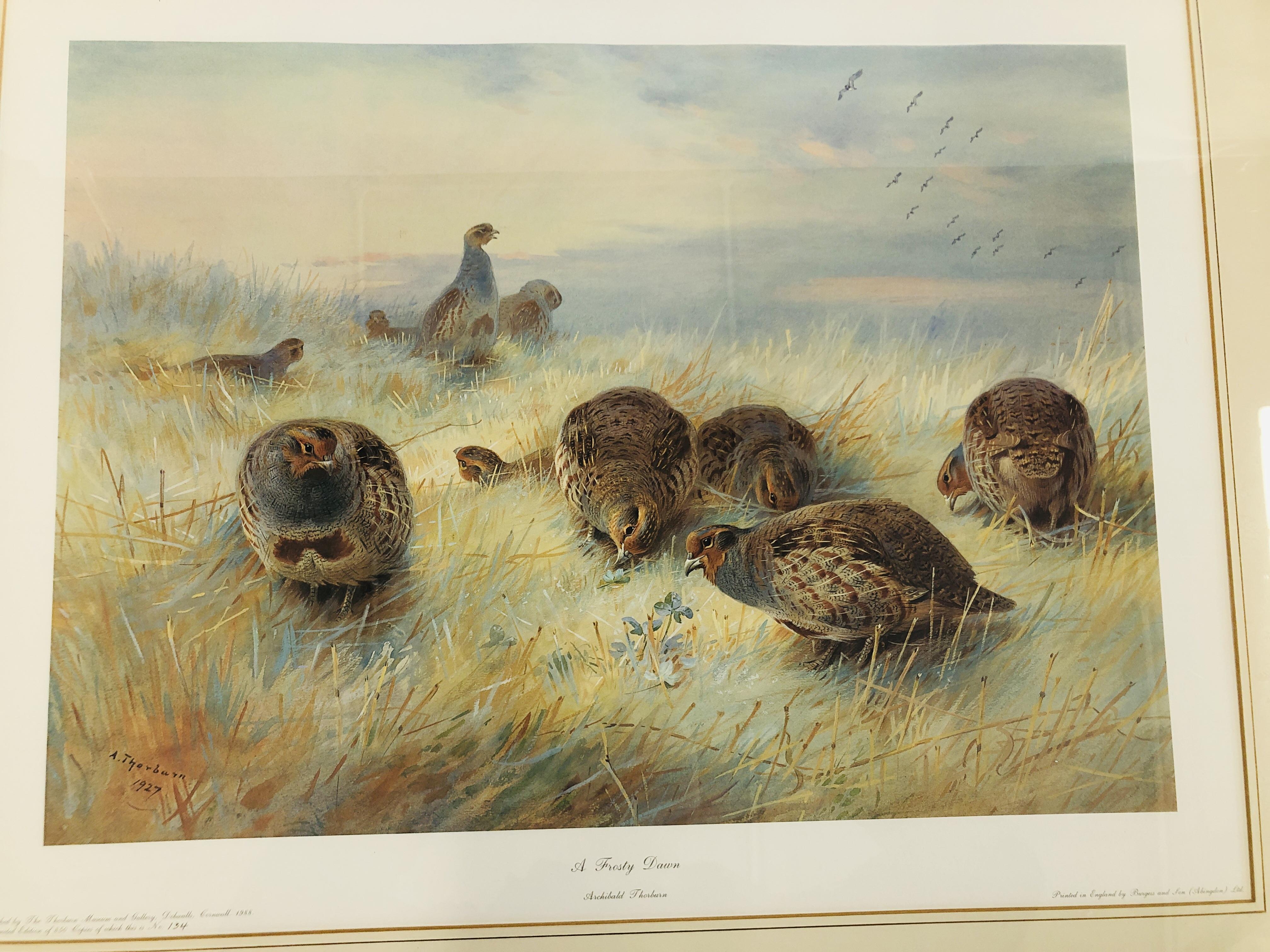 PRINT - ARCHIBALD THORBURN - A FROSTY DAWN LTD EDITION 134 OF 850 BY THORBURN MUSEUM AND GALLERY - Image 2 of 6