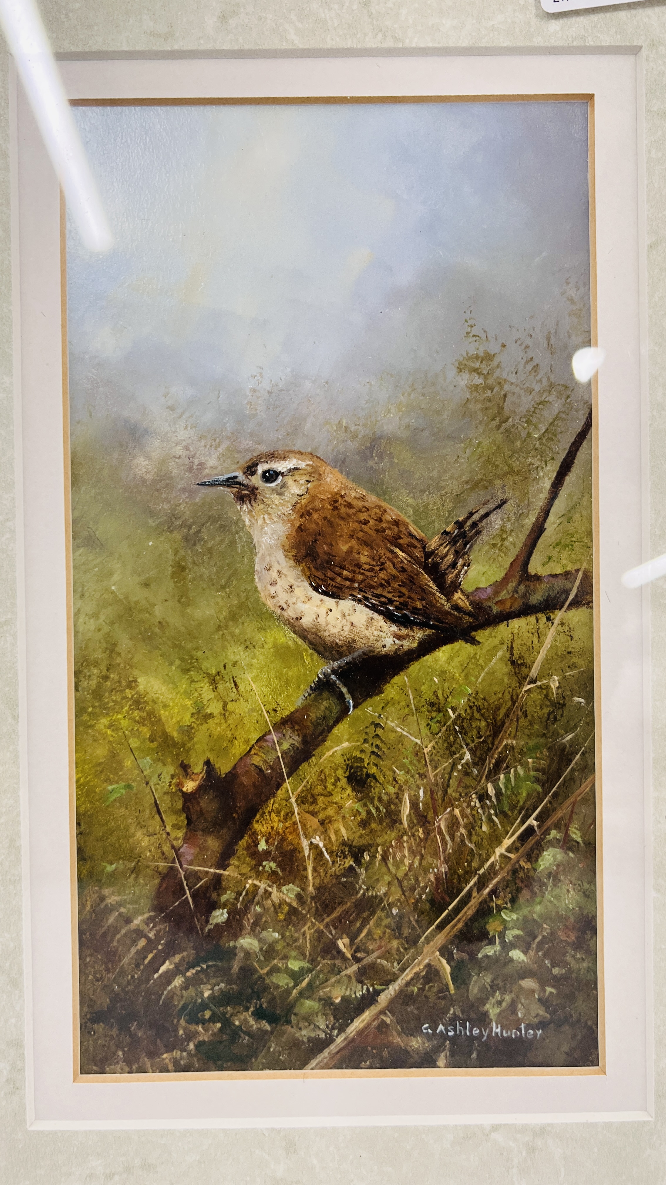 OIL "WREN" BEARING SIGNATURE G. ASHLEY HUNTER 20 X 10.5CM. - Image 2 of 5