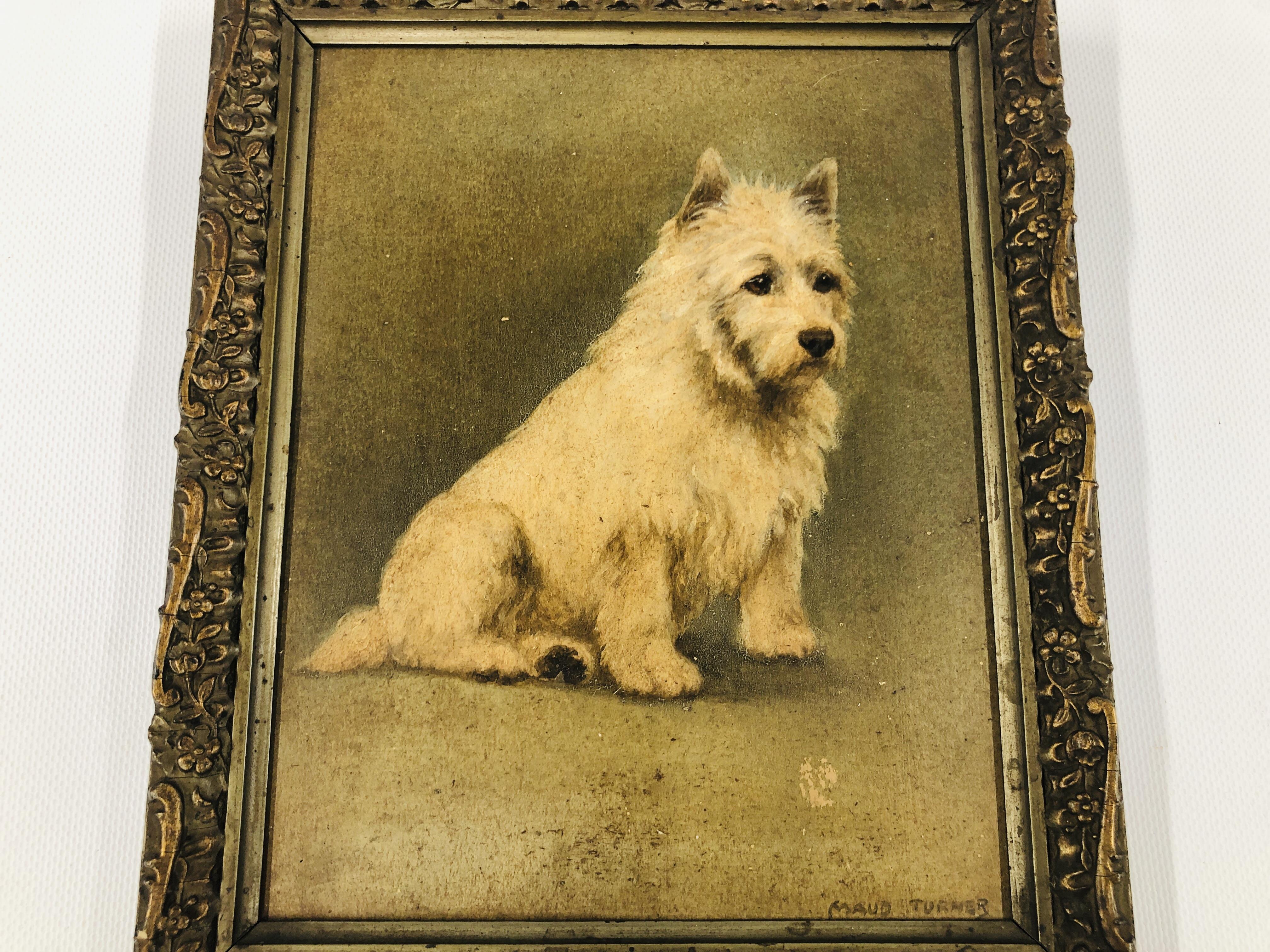 A FRAMED AND MOUNTED OIL ON BOARD OF A WEST HIGHLAND TERRIER BEARING SIGNATURE "MAUD TURNER" H 21. - Image 2 of 8