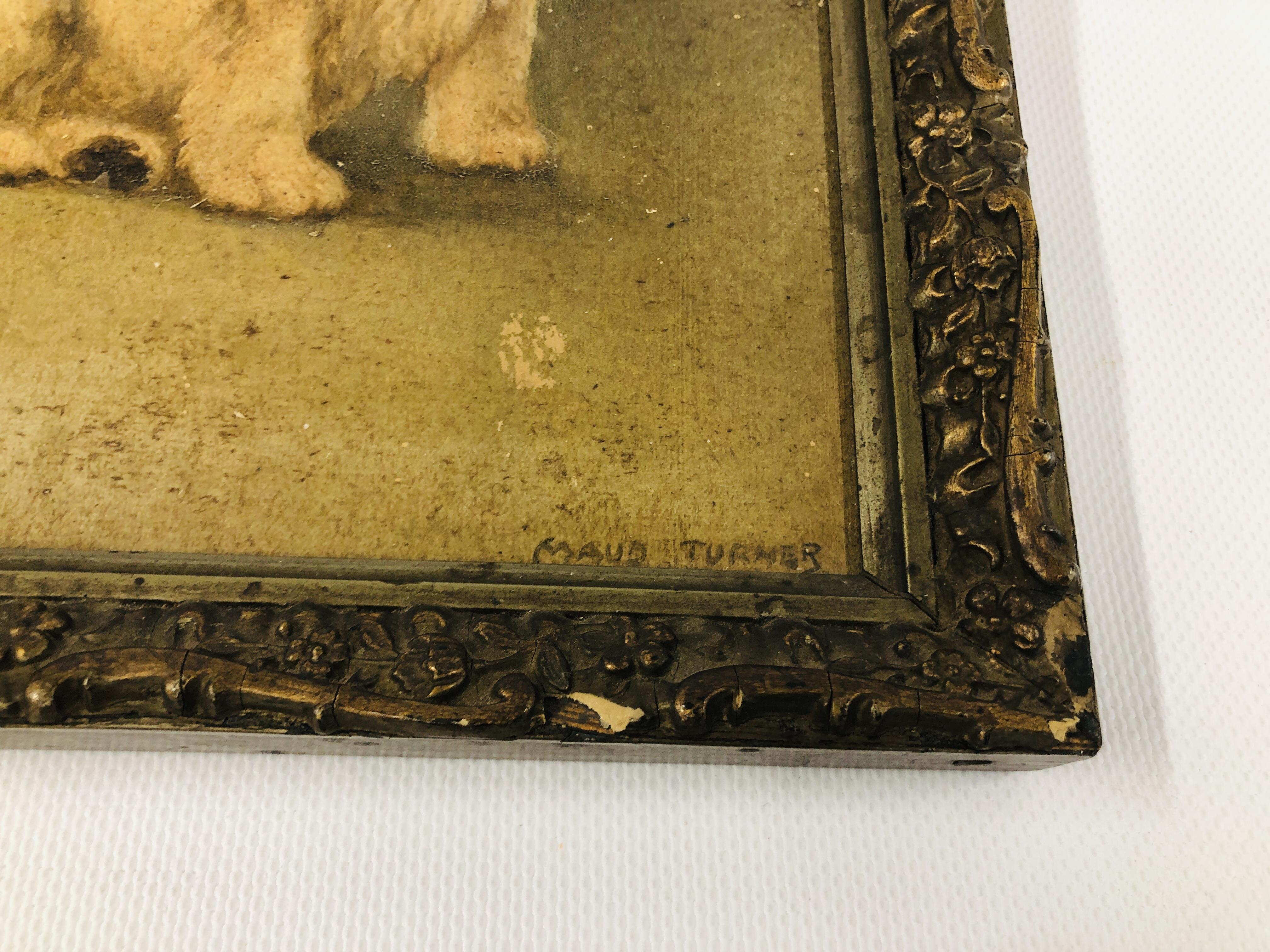 A FRAMED AND MOUNTED OIL ON BOARD OF A WEST HIGHLAND TERRIER BEARING SIGNATURE "MAUD TURNER" H 21. - Image 4 of 8