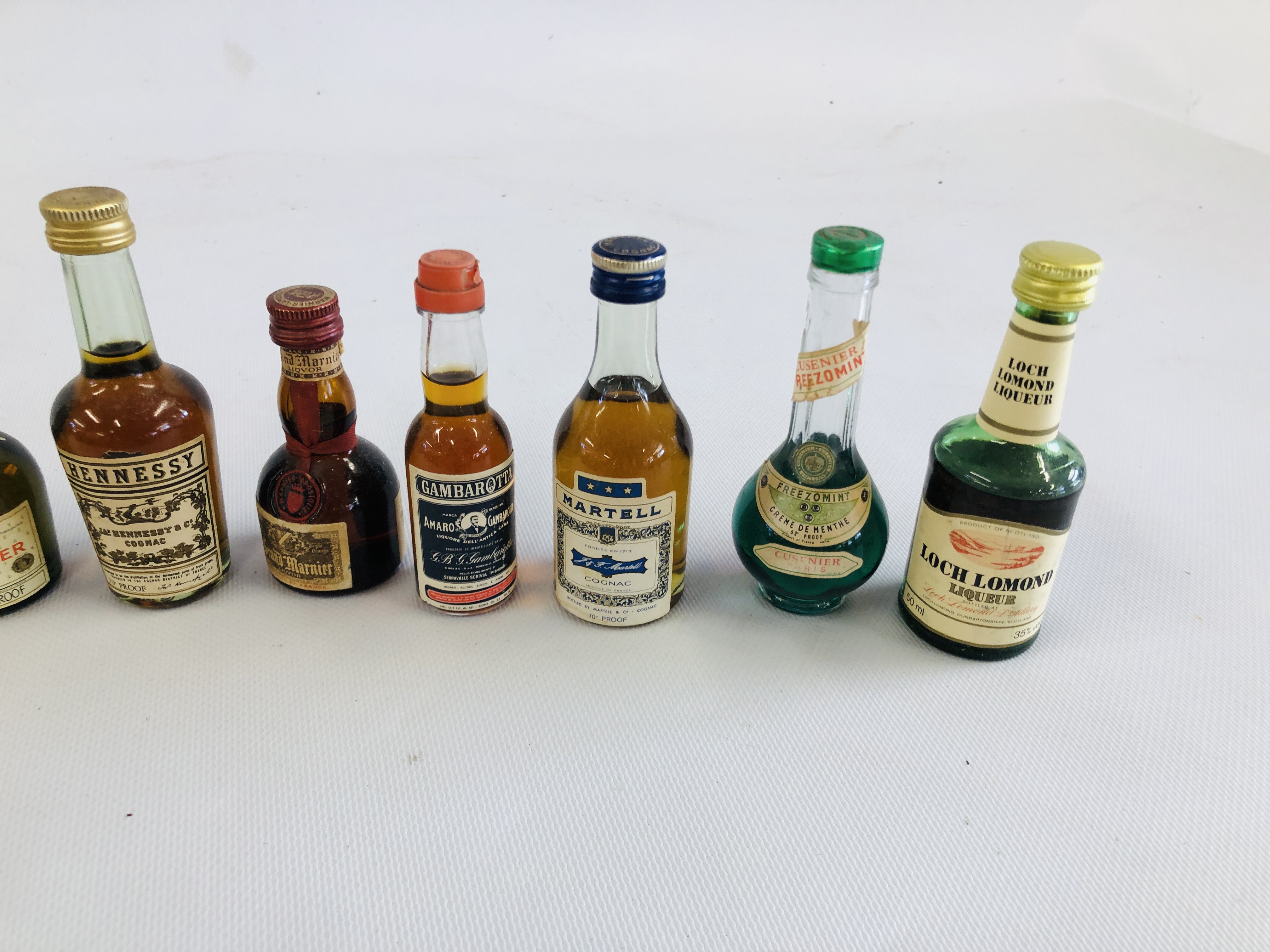 A COLLECTION OF APPROX 49 MINIATURES (AS CLEARED) - Image 10 of 13