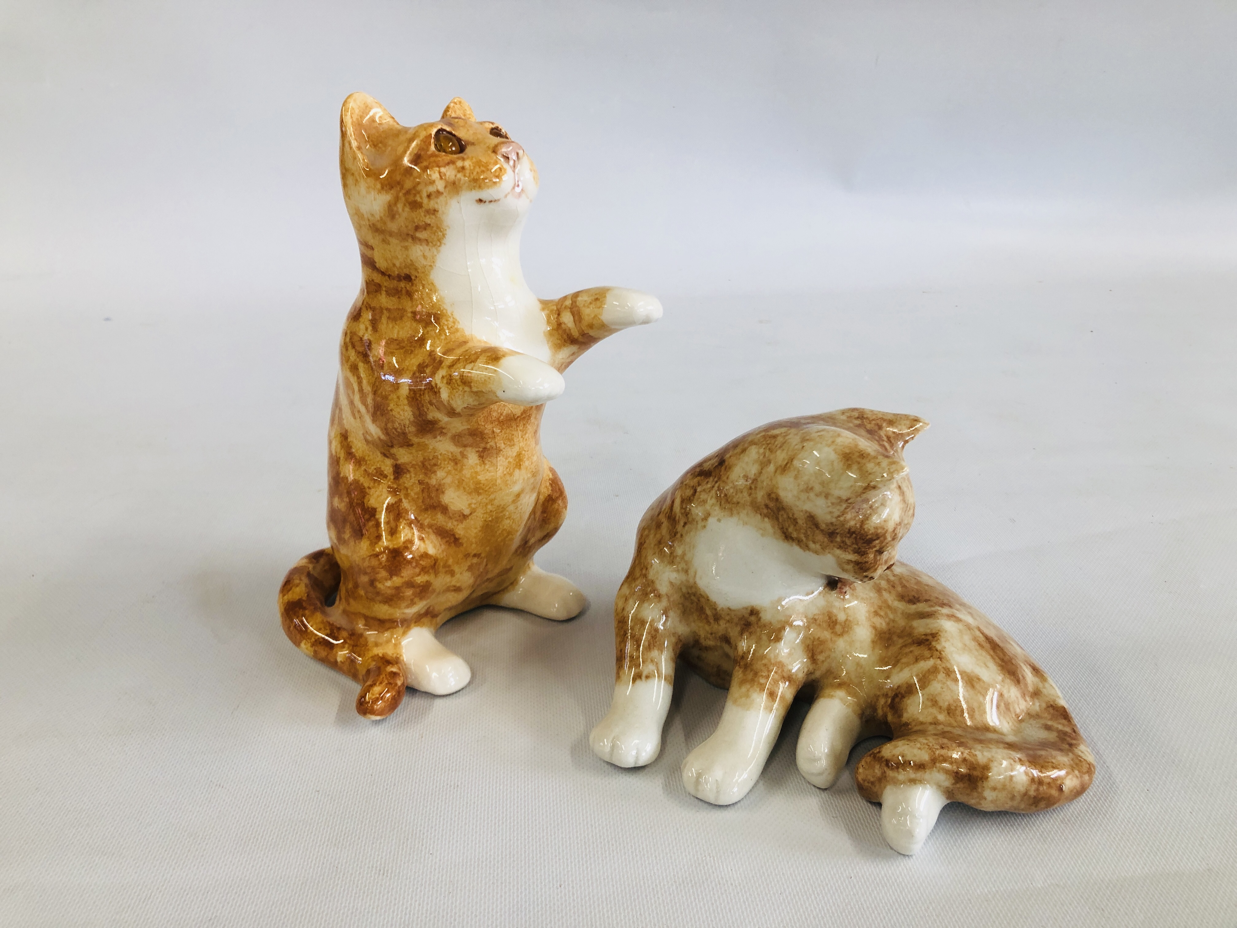 A WINSTANLEY POTTERY EXAMPLE OF A TABBY CAT "STANDING ON HIND LEGS" BEARING SIGNATURE TO THE BASE,