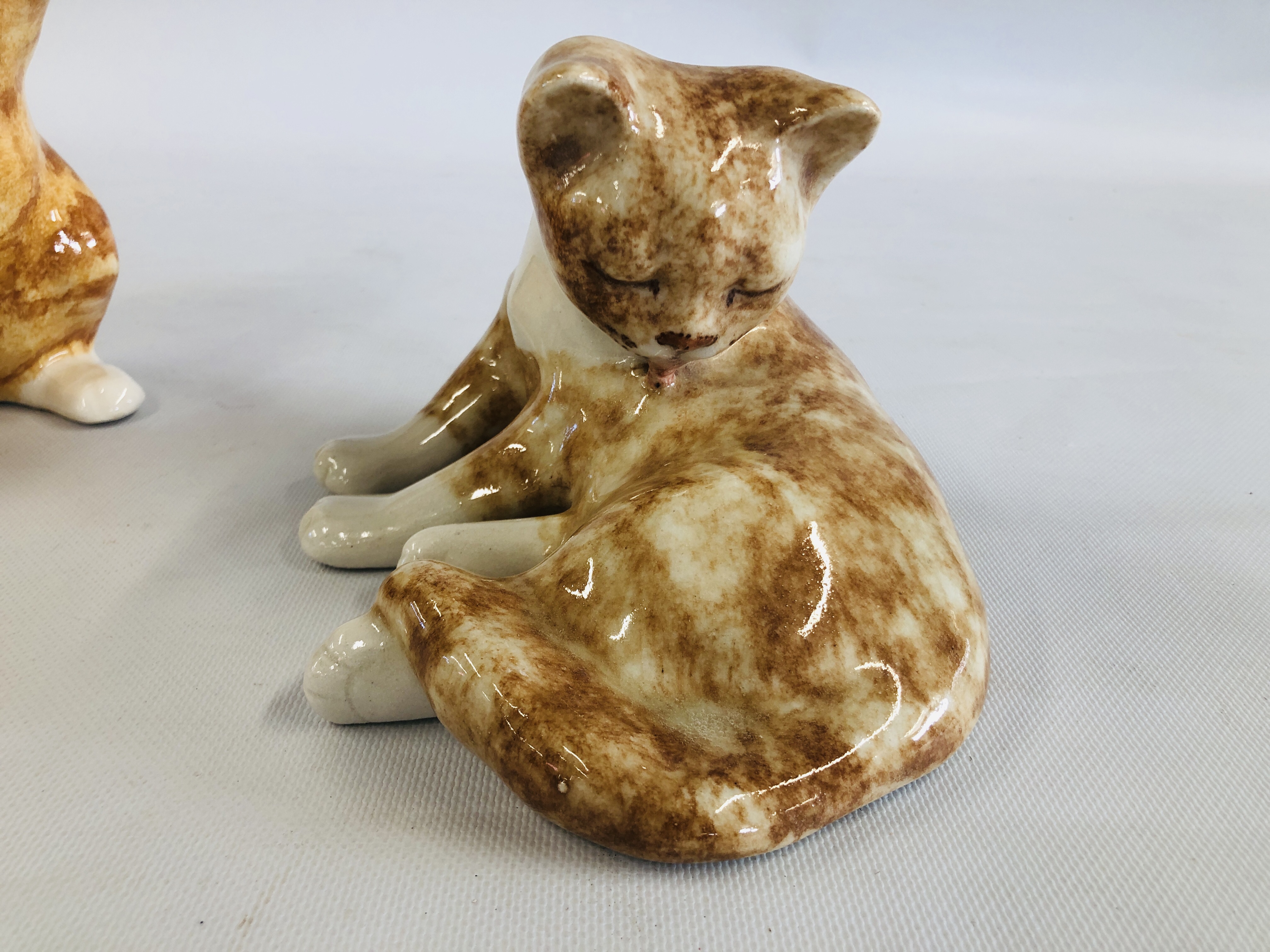 A WINSTANLEY POTTERY EXAMPLE OF A TABBY CAT "STANDING ON HIND LEGS" BEARING SIGNATURE TO THE BASE, - Image 2 of 13