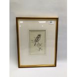 A PENCIL SKETCH "REED BUNTING" BEARING SIGNATURE ROLAND GREEN, H 17.5CM X 11.5CM.