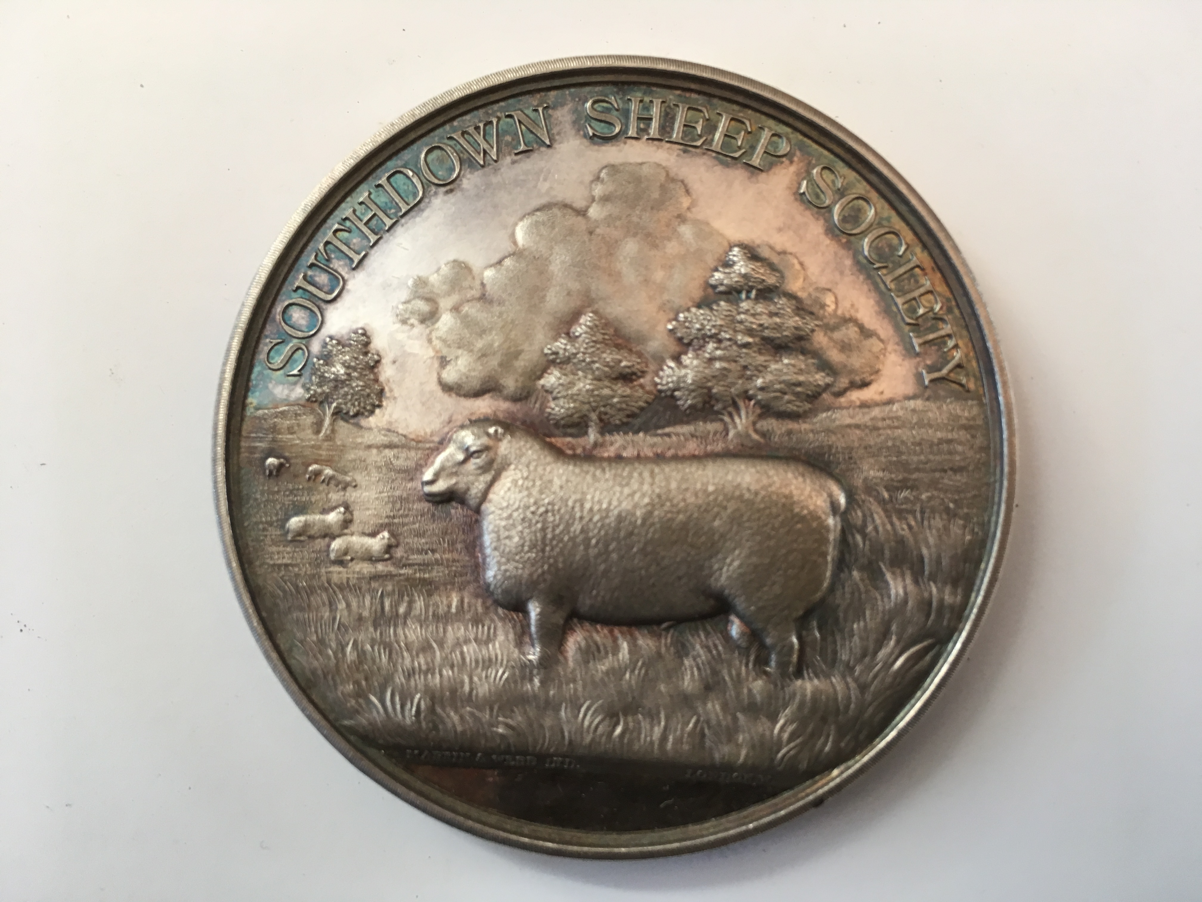 SOUTHDOWN SHEEP SOCIETY SILVER PRIZE MEDAL ENGRAVED 1908 CHAMPION RAM SUFFOLK, MR JEREMIA COLMAN, - Image 2 of 4