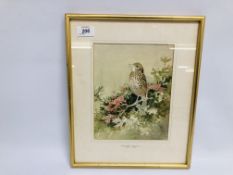 ROLAND GREEN : A SONG THRUSH, WATERCOLOUR 23 X 18CM.