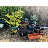 A LARGE COLLECTION OF GARDEN PLANTERS TO INCLUDE PLASTIC WHISKY BARREL STYLE POTS AND TROUGHS,